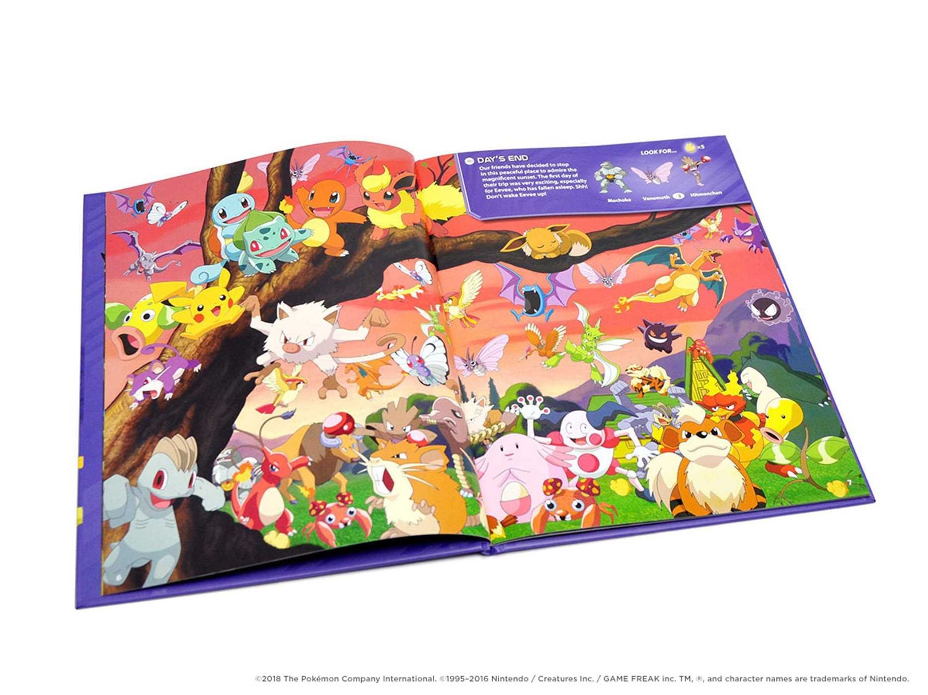 Pokémon Seek and Find: Kanto: Kanto
