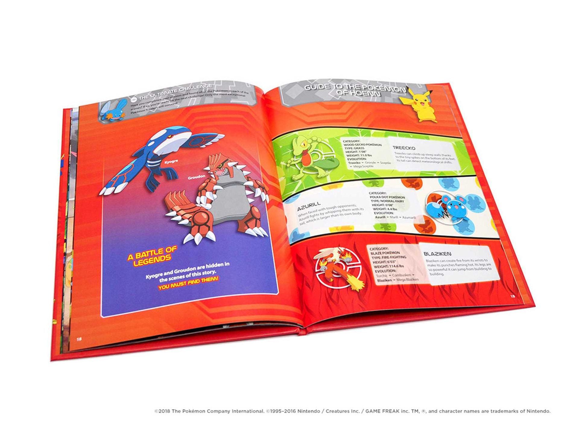 Pokémon Seek and Find: Hoenn: Hoenn