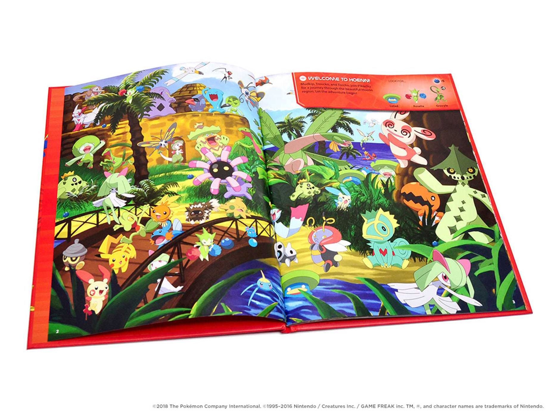 Pokémon Seek and Find: Hoenn: Hoenn
