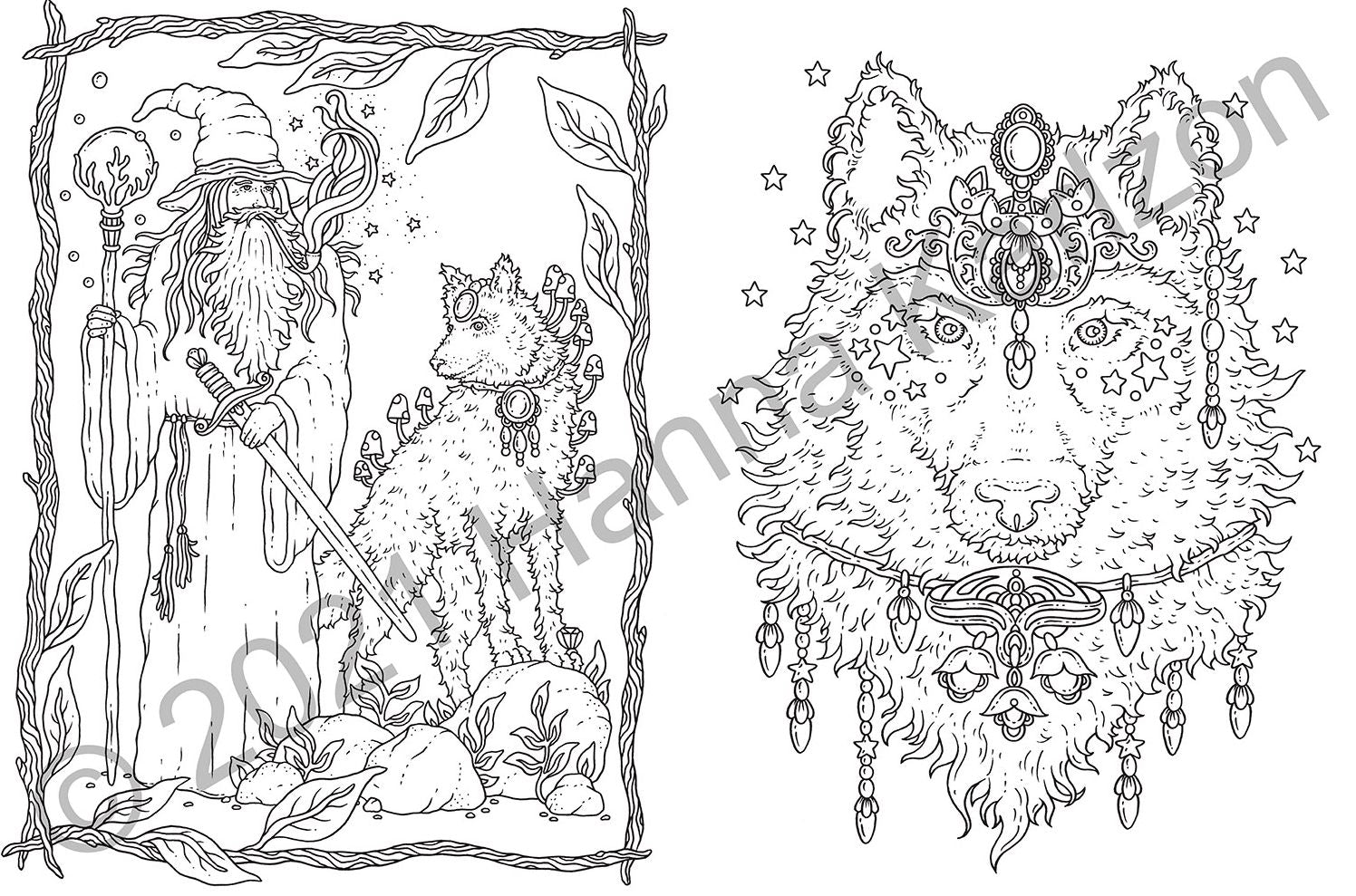 Tales from the Forest Kingdom Coloring Book: Hardcover adult coloring book featuring thick, high-quality paper