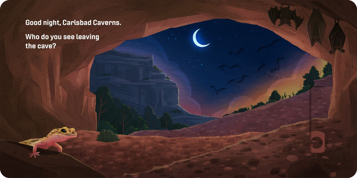 Good Night, National Parks