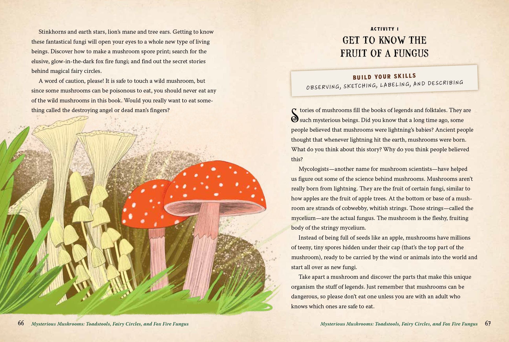 Forest Magic for Kids: How to Find Fairies, Make a Secret Fort, and Cook Up an Elfin Picnic