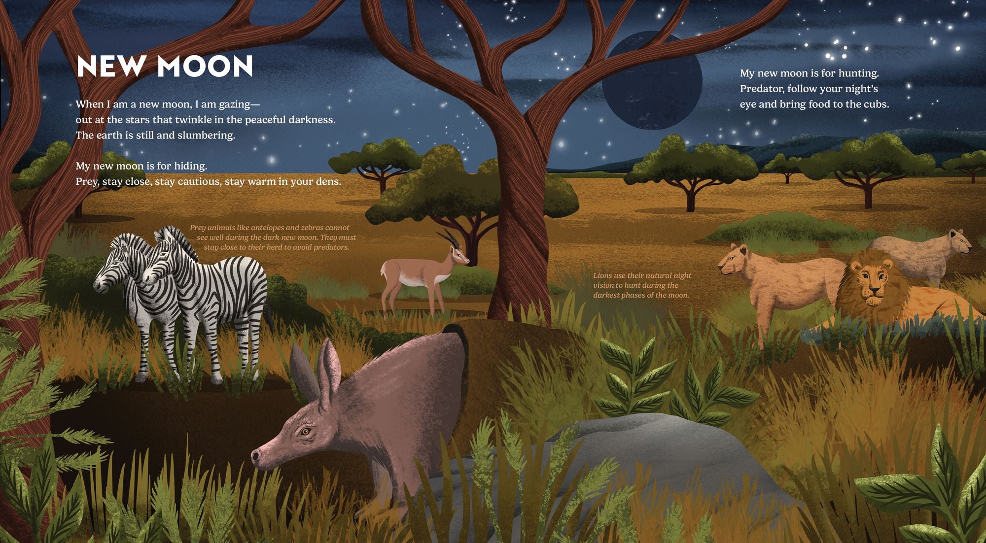 Wild Moon: How the Lunar Phases Light Up Our World