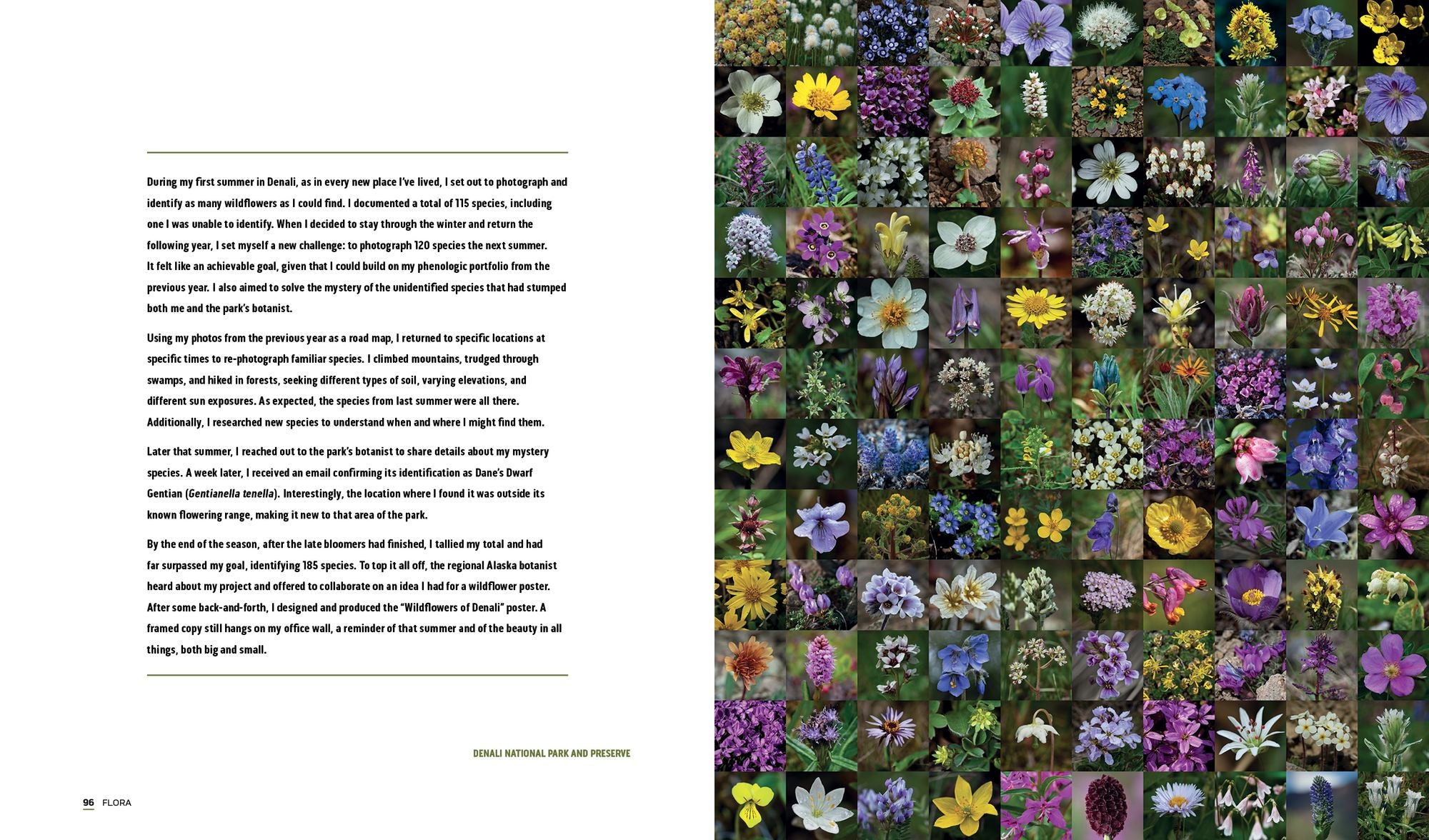 Parklands: America's National Parks and Public Lands