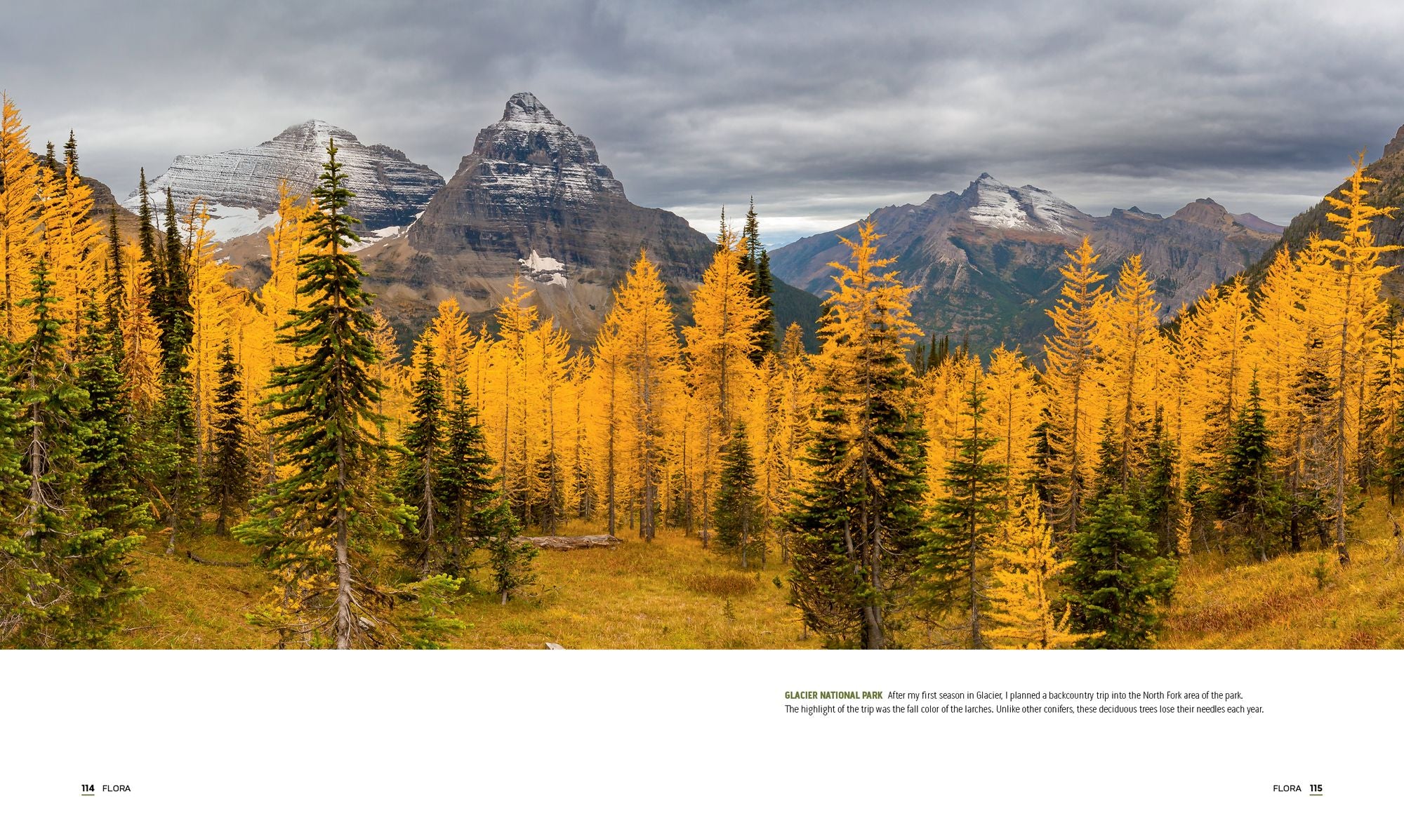 Parklands: America's National Parks and Public Lands