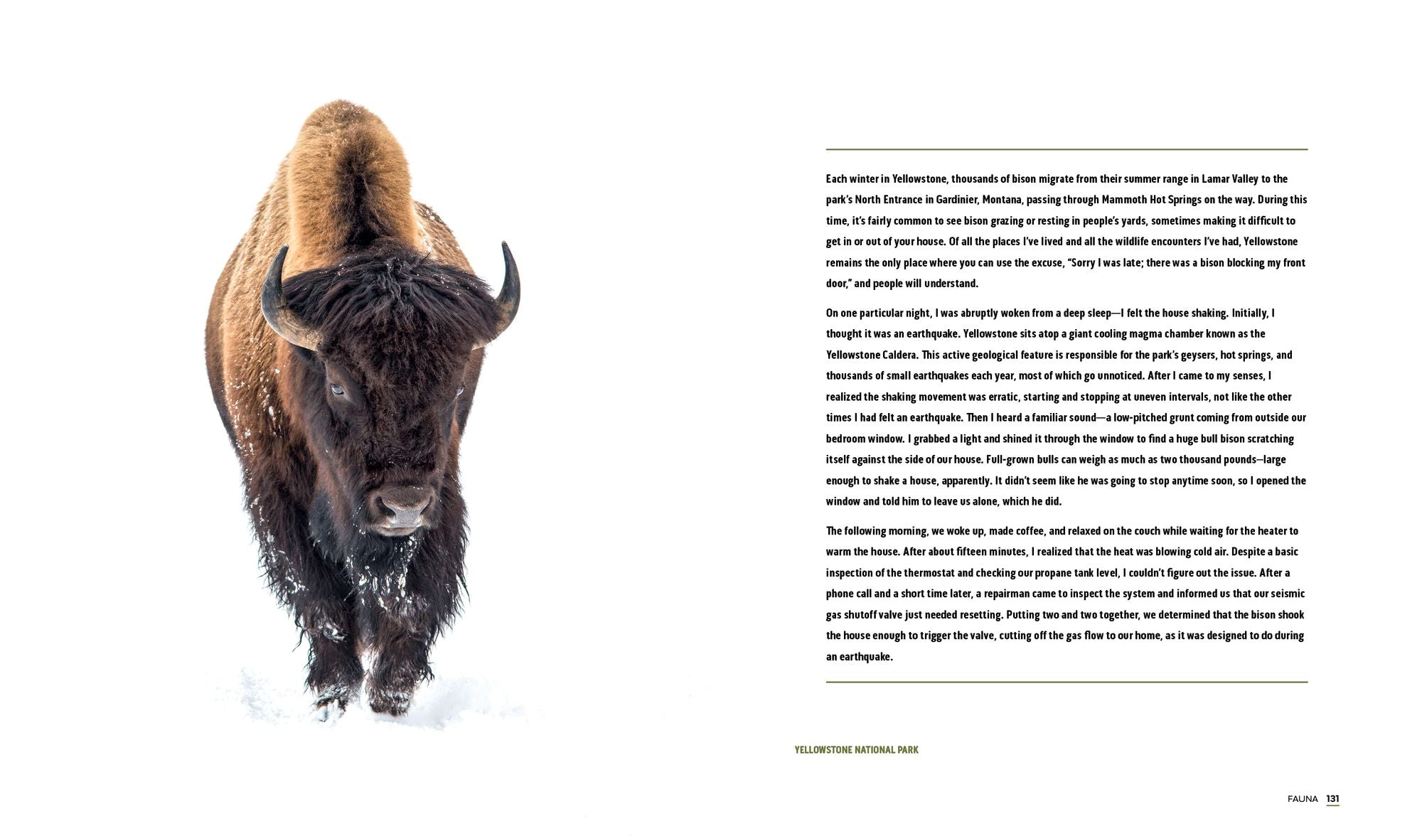 Parklands: America's National Parks and Public Lands