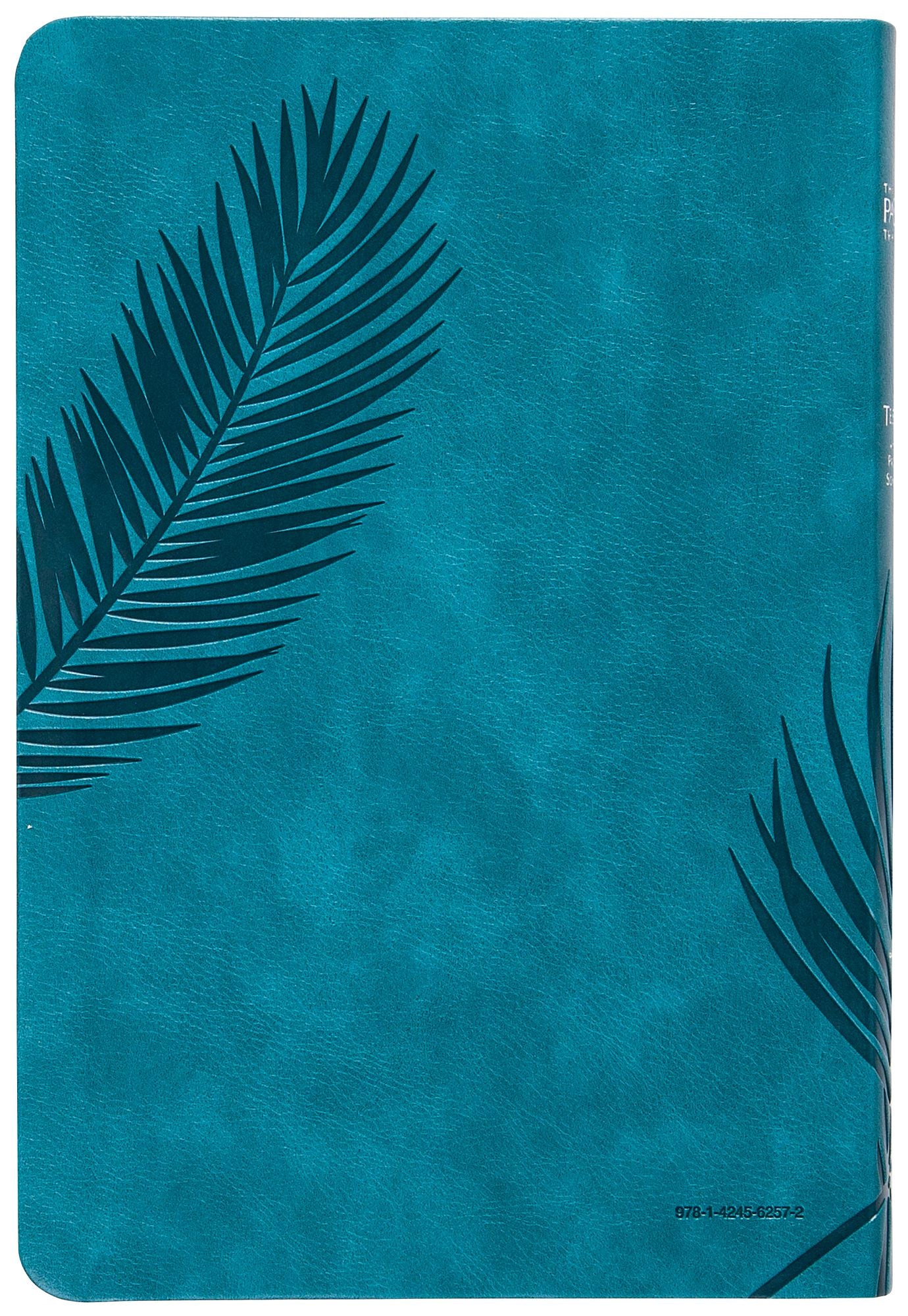 The Passion Translation New Testament (2020 edition) Large Print Teal: with Psalms, Proverbs, and Song of Songs