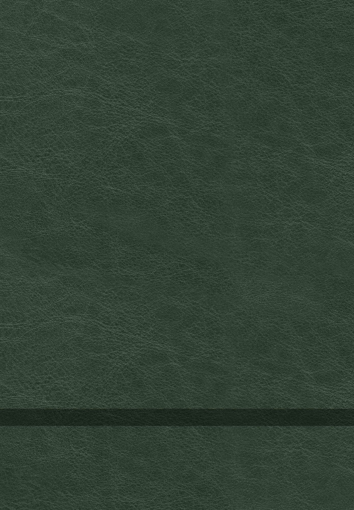 The Chosen Book Five: 40 Days with Jesus