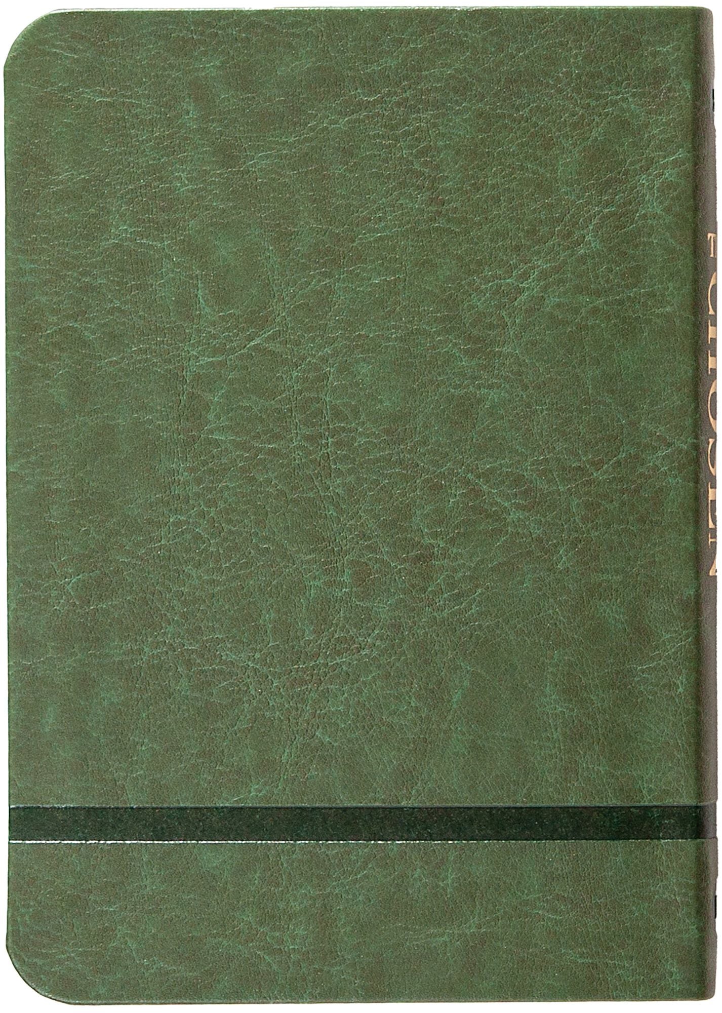 The Chosen Book Five: 40 Days with Jesus