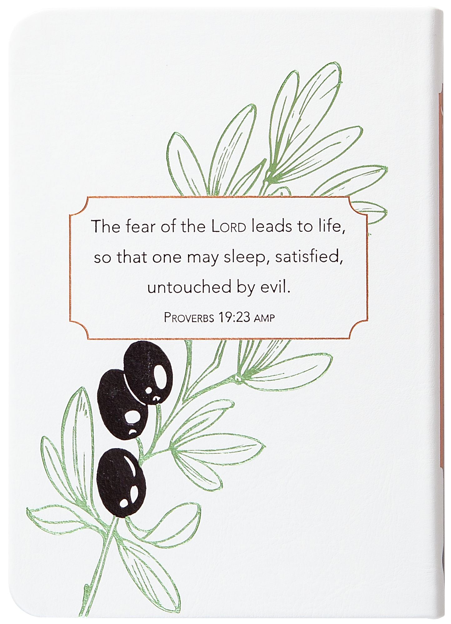 Jesus Amplified: The Deeper Meaning of the Words of Jesus