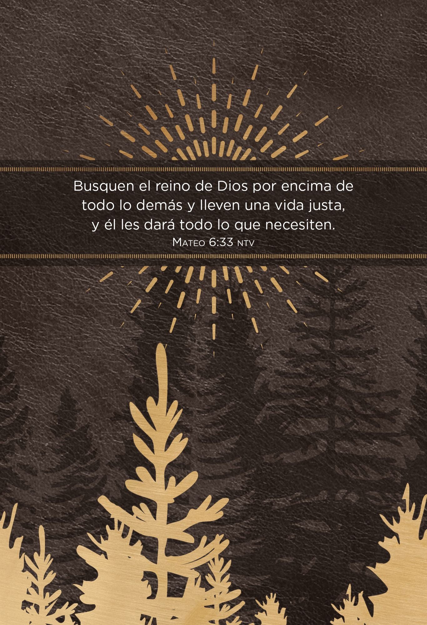 Jesús primero para hombres: 365 devociones para comenzar tu día