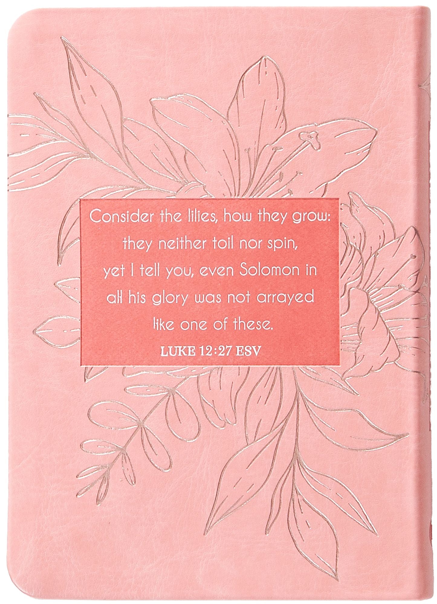 Consider the Lilies: 365 Devotions for Women