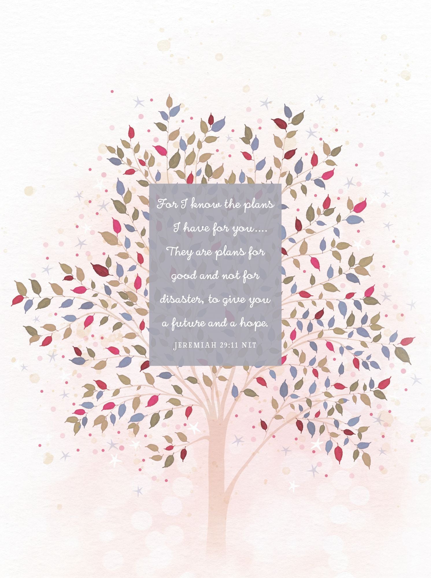 For I Know the Plans: Morning & Evening Devotional