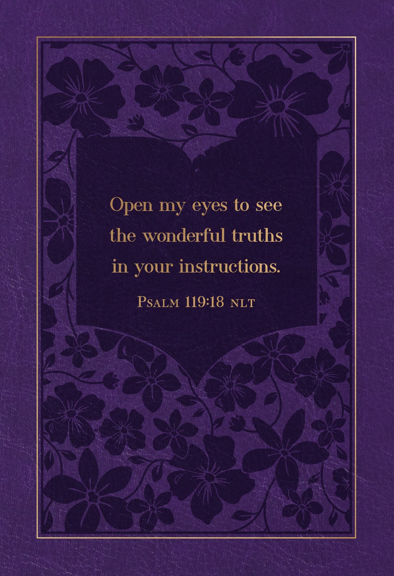 The Bible Reading Plan Devotional for Women: 365 Daily Meditations