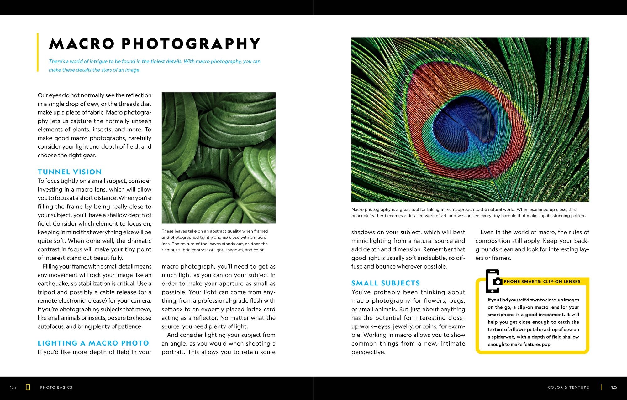 National Geographic Photo Basics: The Ultimate Beginner's Guide to Great Photography