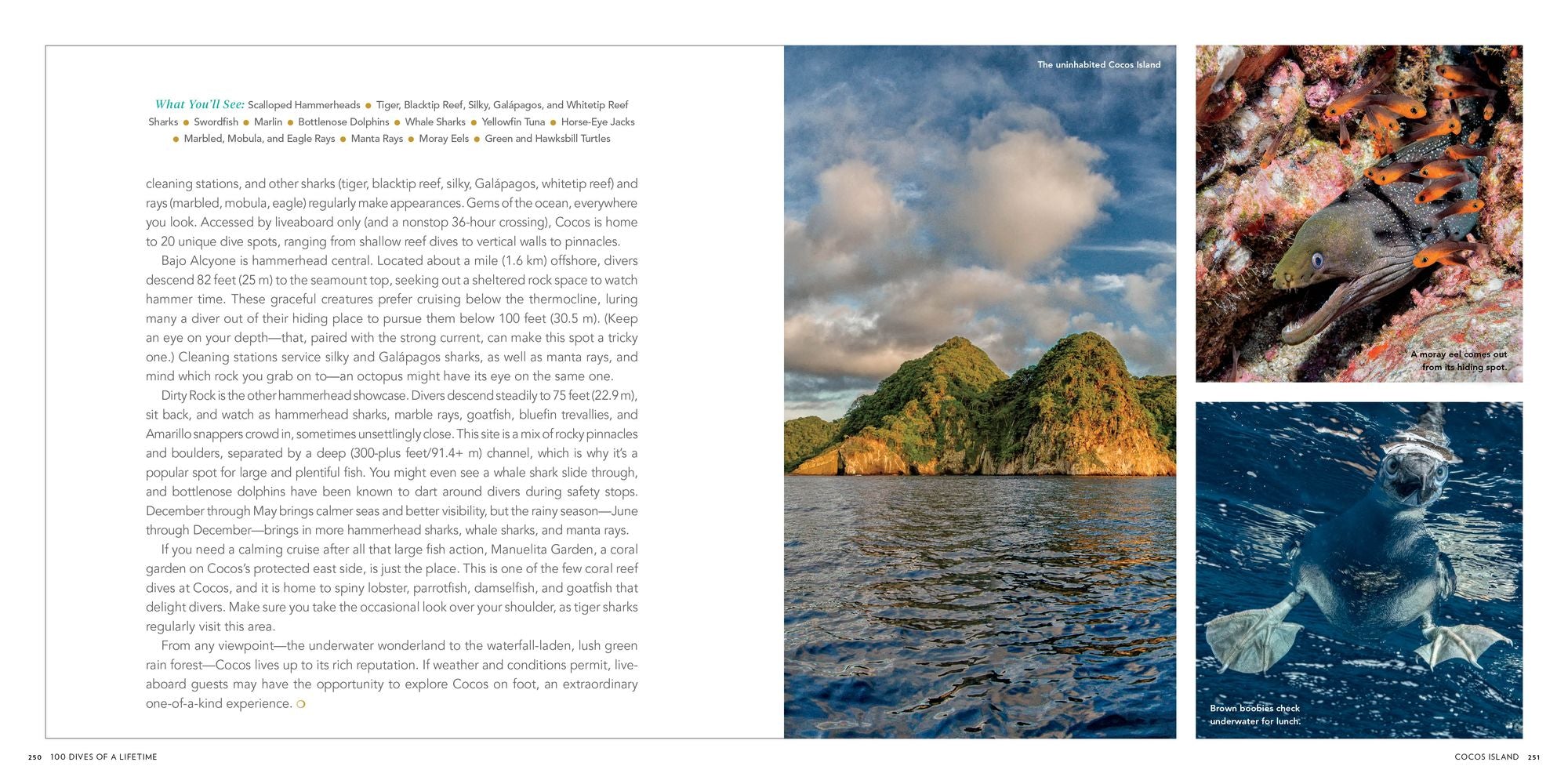 100 Dives of a Lifetime: The World's Ultimate Underwater Destinations