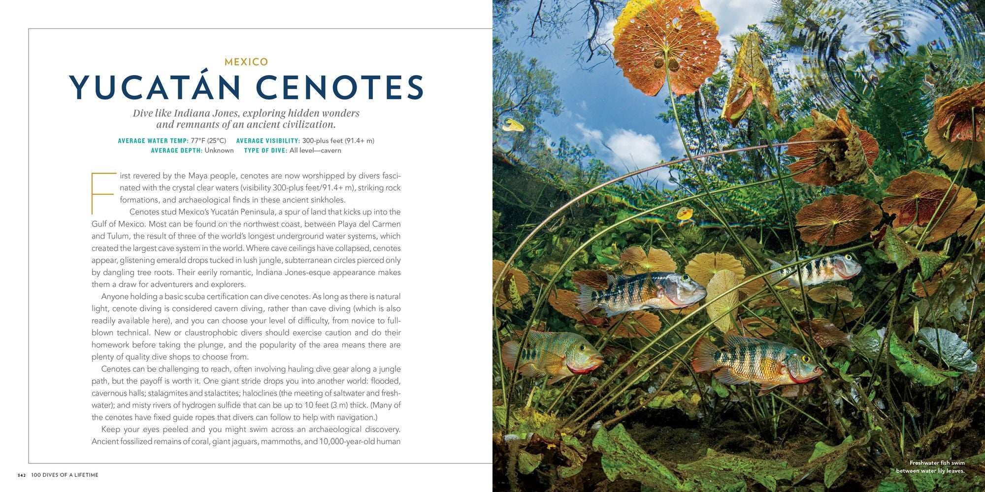 100 Dives of a Lifetime: The World's Ultimate Underwater Destinations