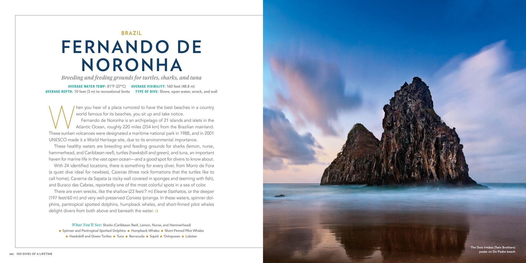 100 Dives of a Lifetime: The World's Ultimate Underwater Destinations