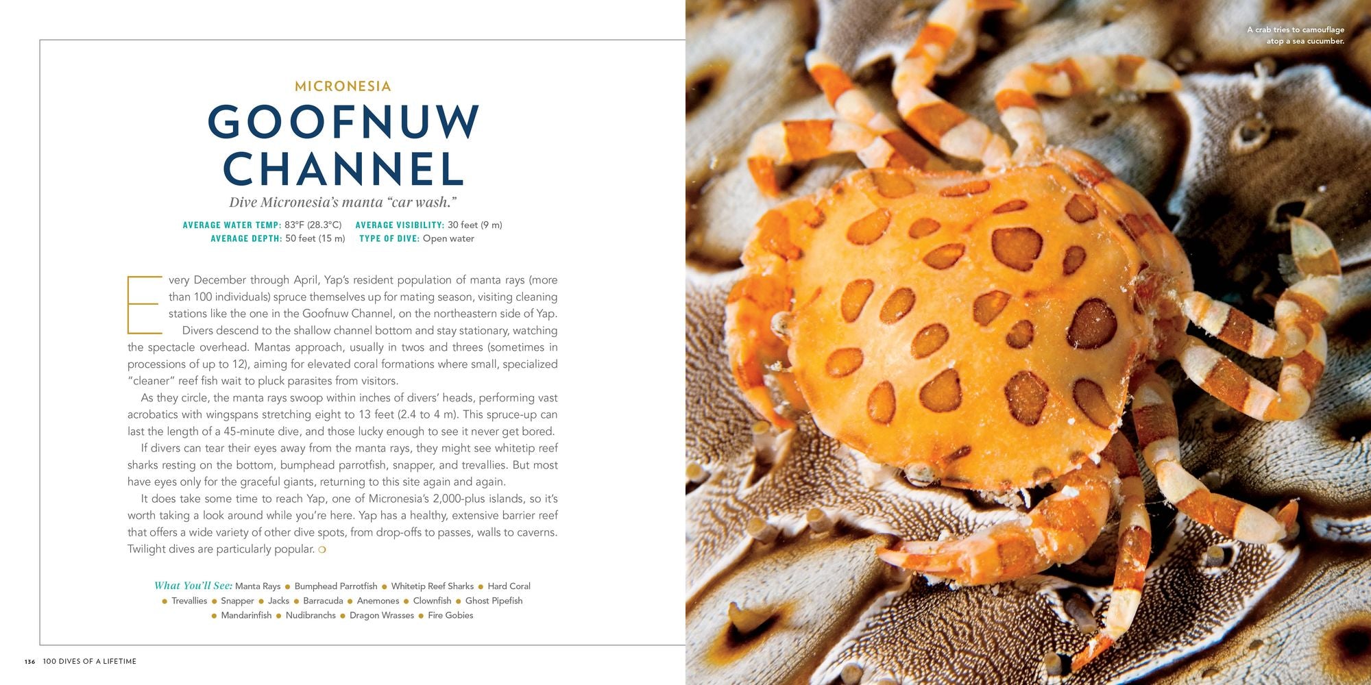 100 Dives of a Lifetime: The World's Ultimate Underwater Destinations