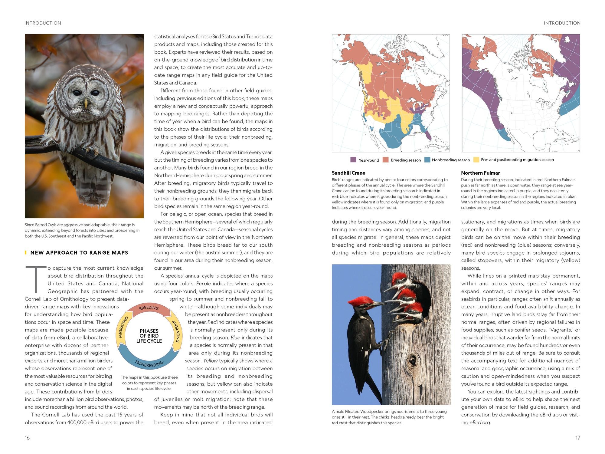 National Geographic Field Guide to the Birds of the United States and Canada, 8th edition