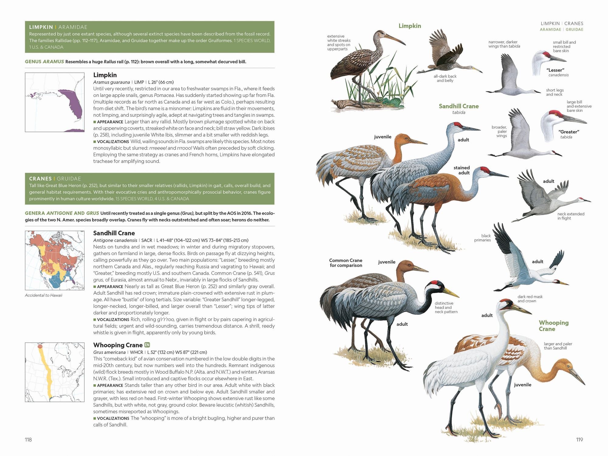 National Geographic Field Guide to the Birds of the United States and Canada, 8th edition