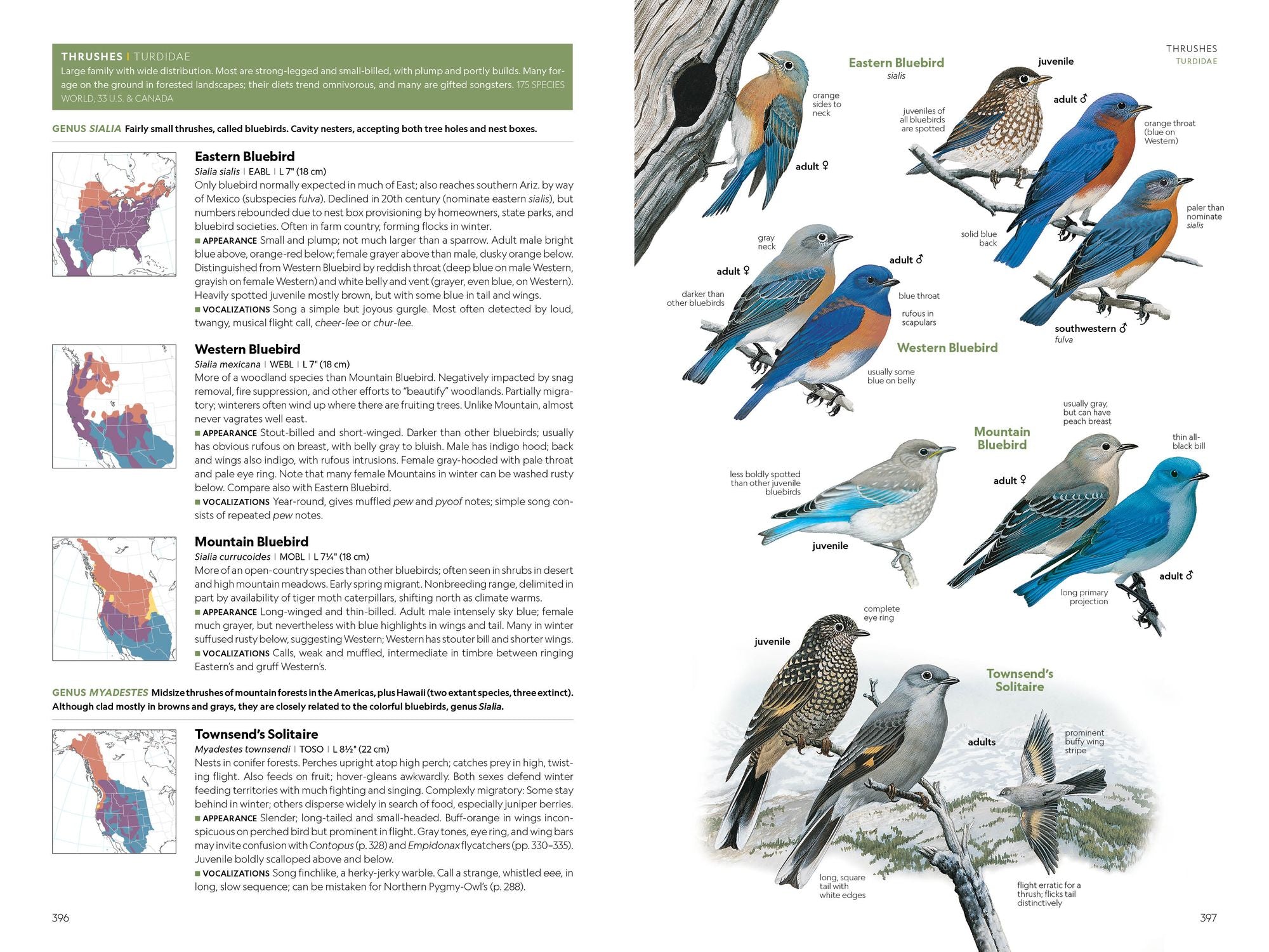 National Geographic Field Guide to the Birds of the United States and Canada, 8th edition