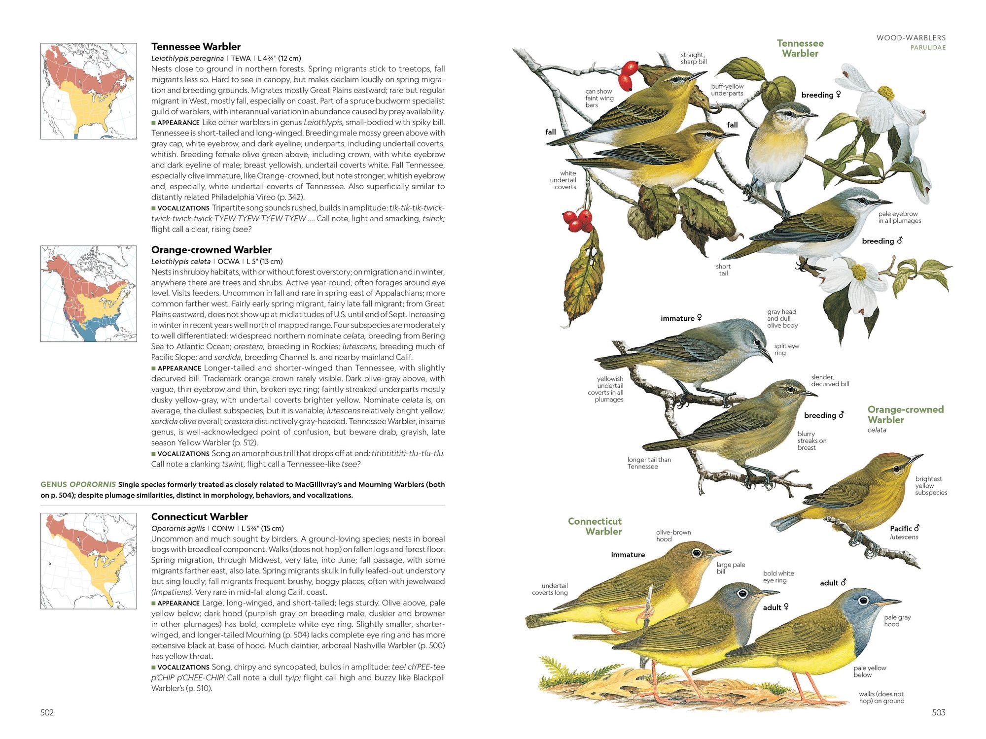 National Geographic Field Guide to the Birds of the United States and Canada, 8th edition