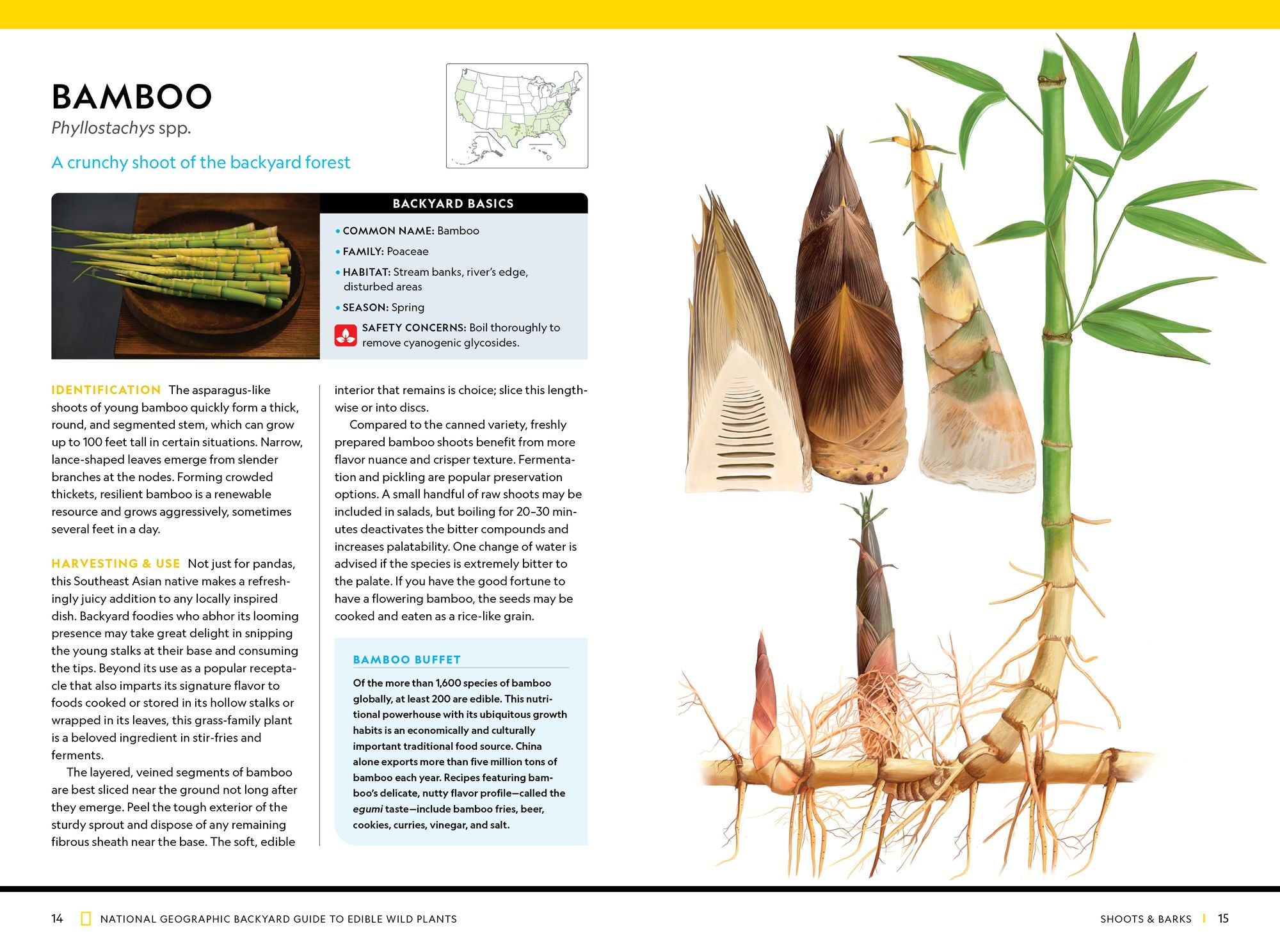 National Geographic Backyard Guide to Edible Wild Plants