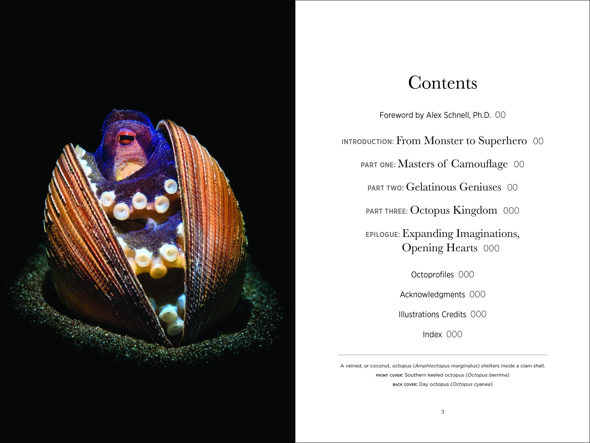 Secrets of the Octopus