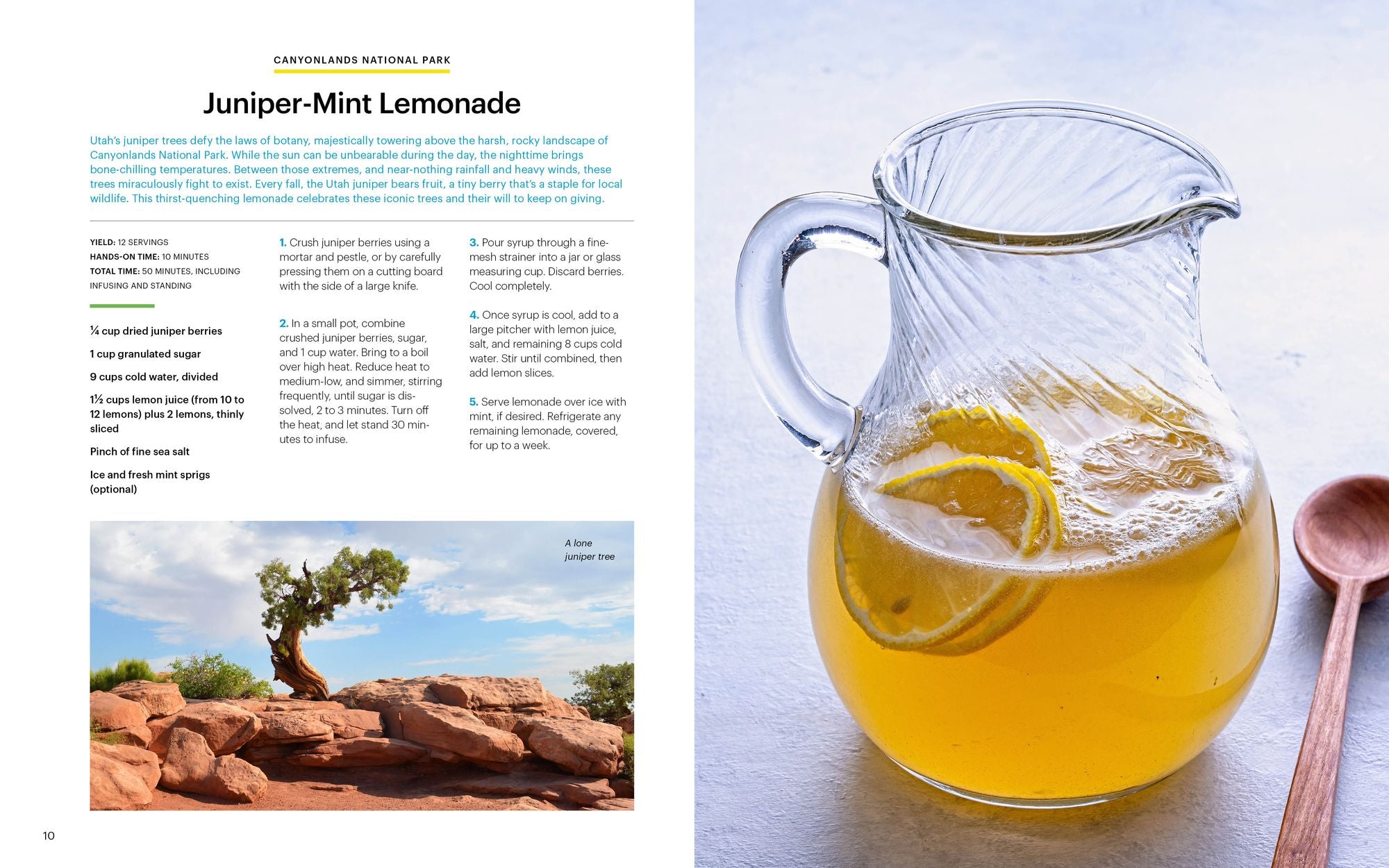 National Geographic National Parks Cookbook: Dishes Inspired by America's Great Outdoors