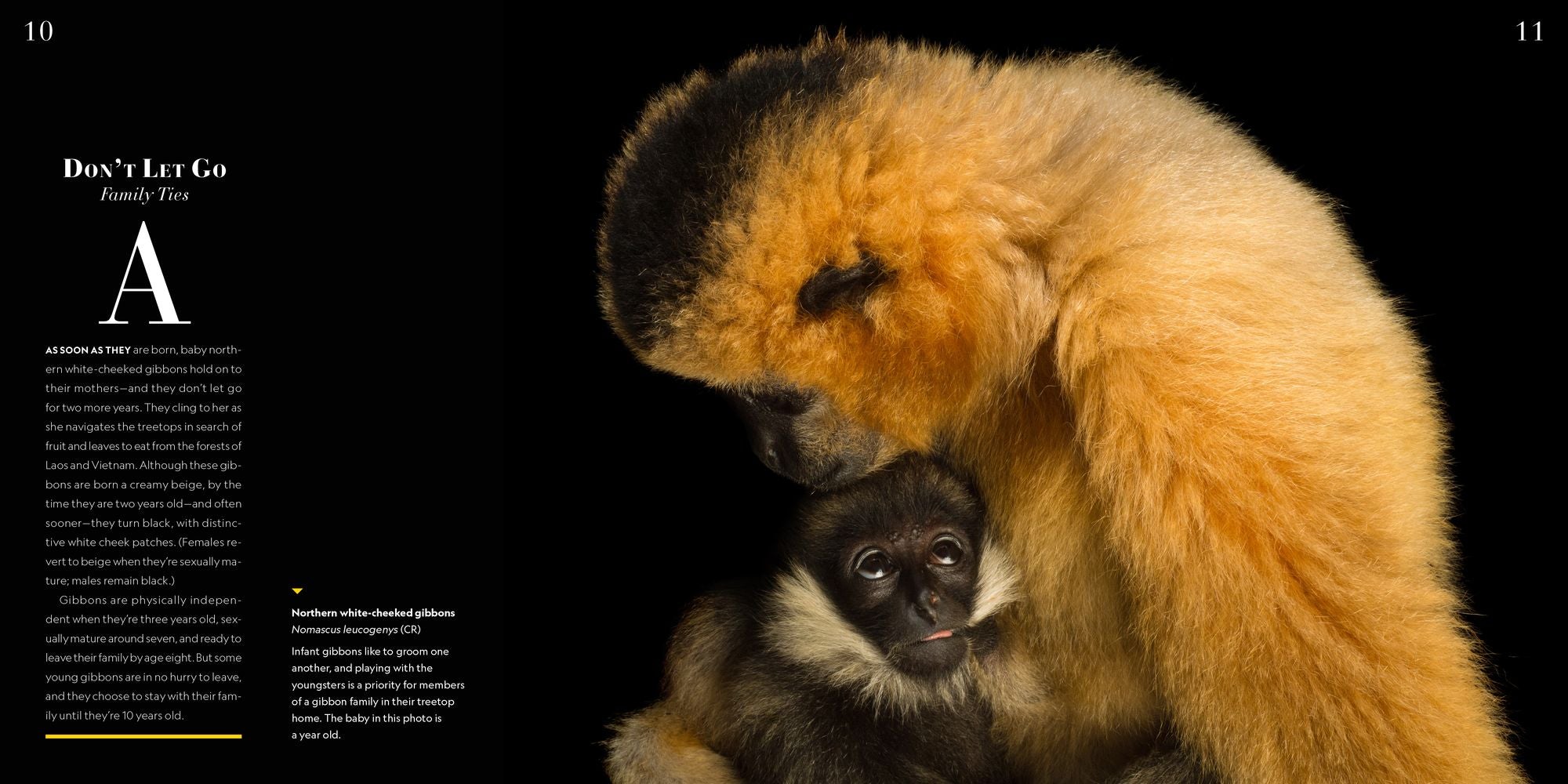 National Geographic Photo Ark Babies: Growing Up in the Animal World