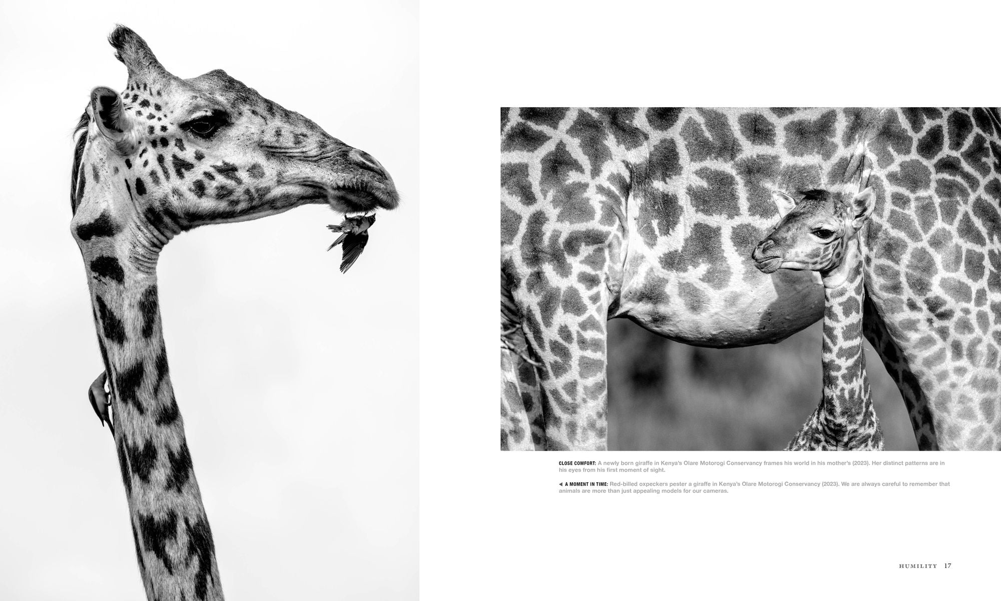Wild Eye: A Life in Photographs