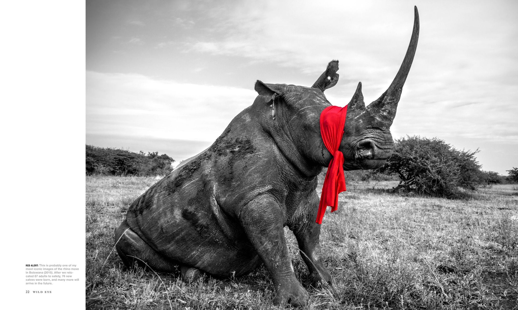 Wild Eye: A Life in Photographs