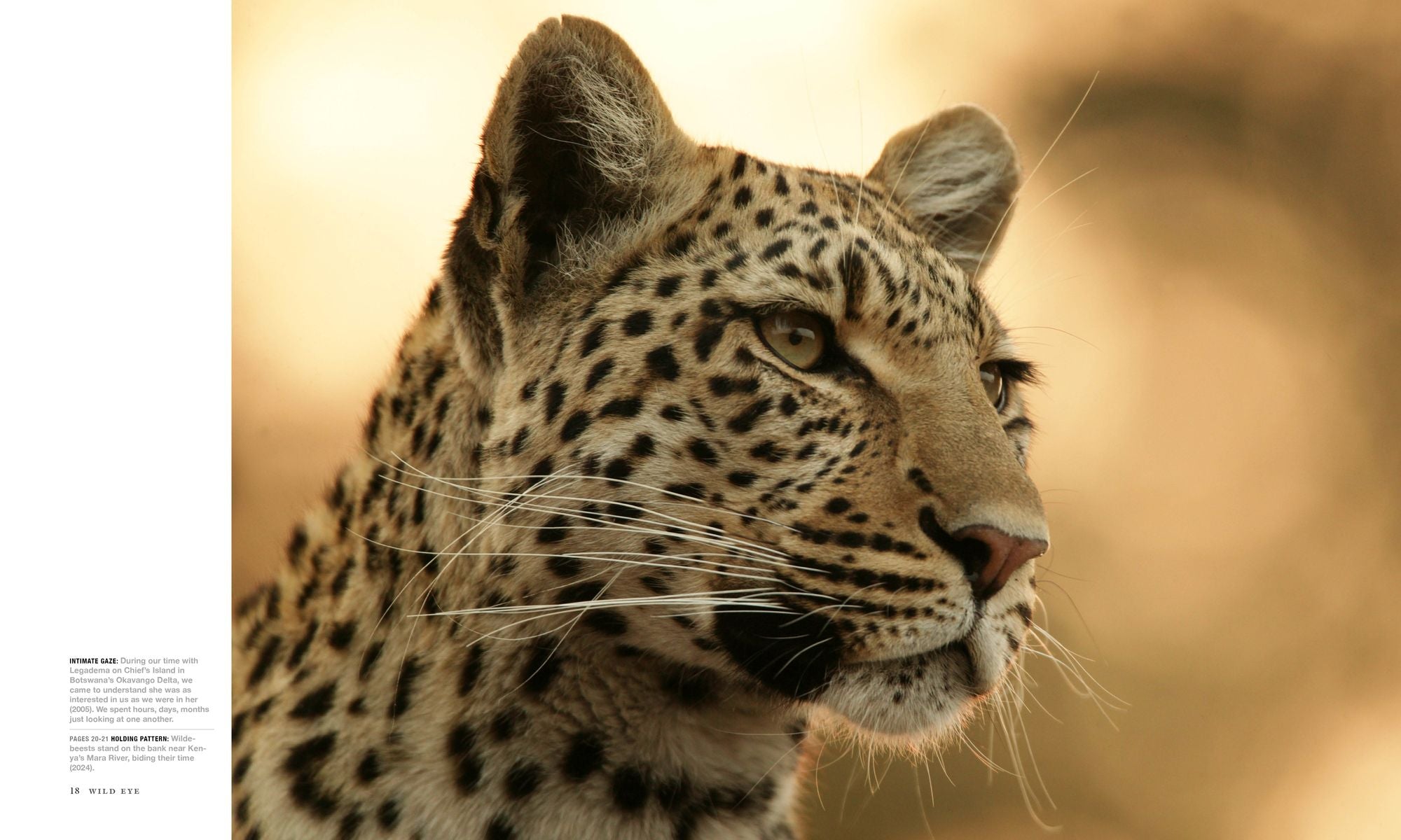 Wild Eye: A Life in Photographs
