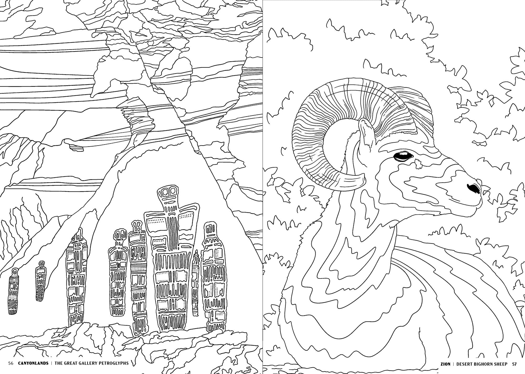The National Parks: A Coloring Book