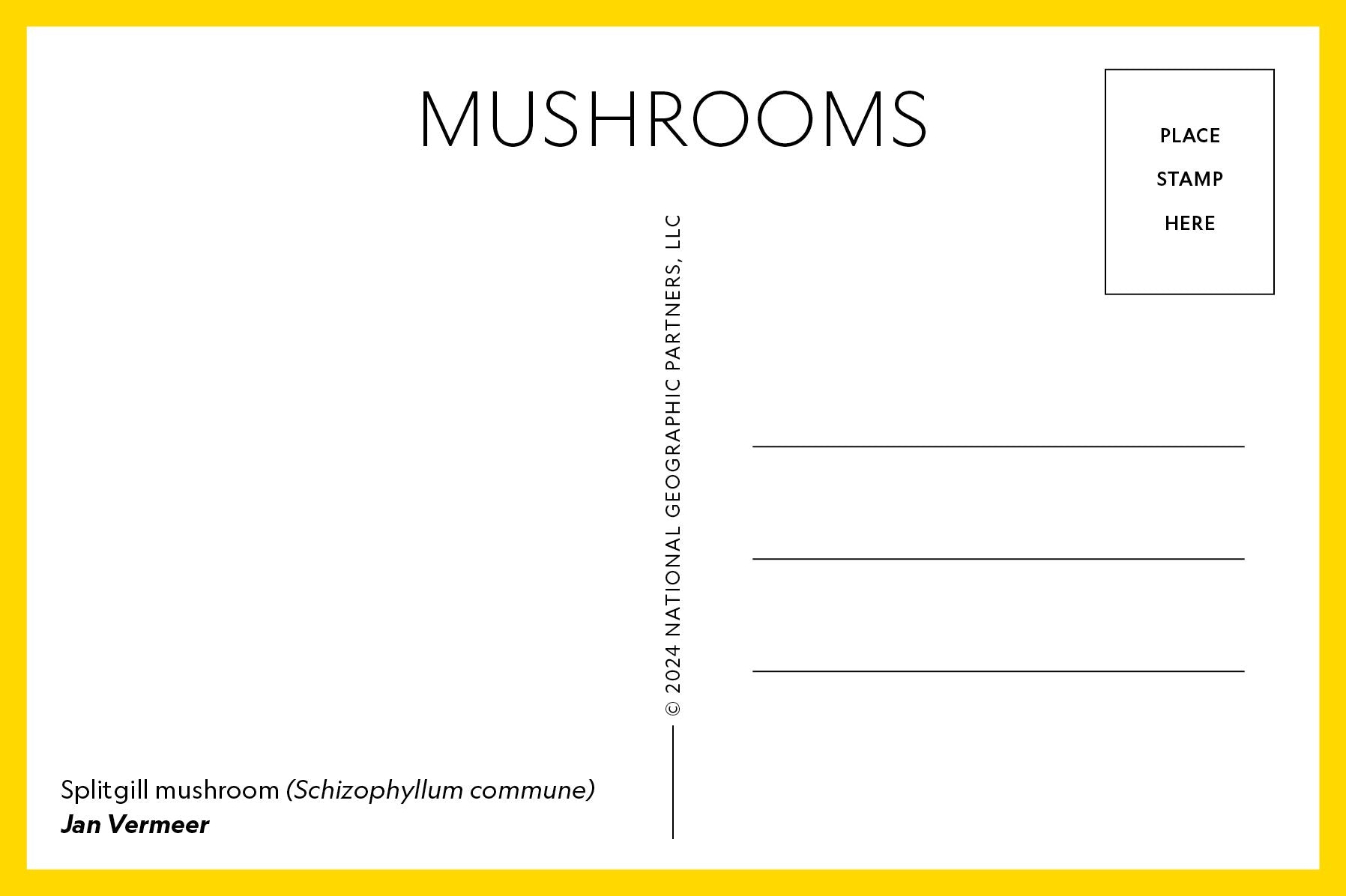 Mushrooms: 50 Postcards