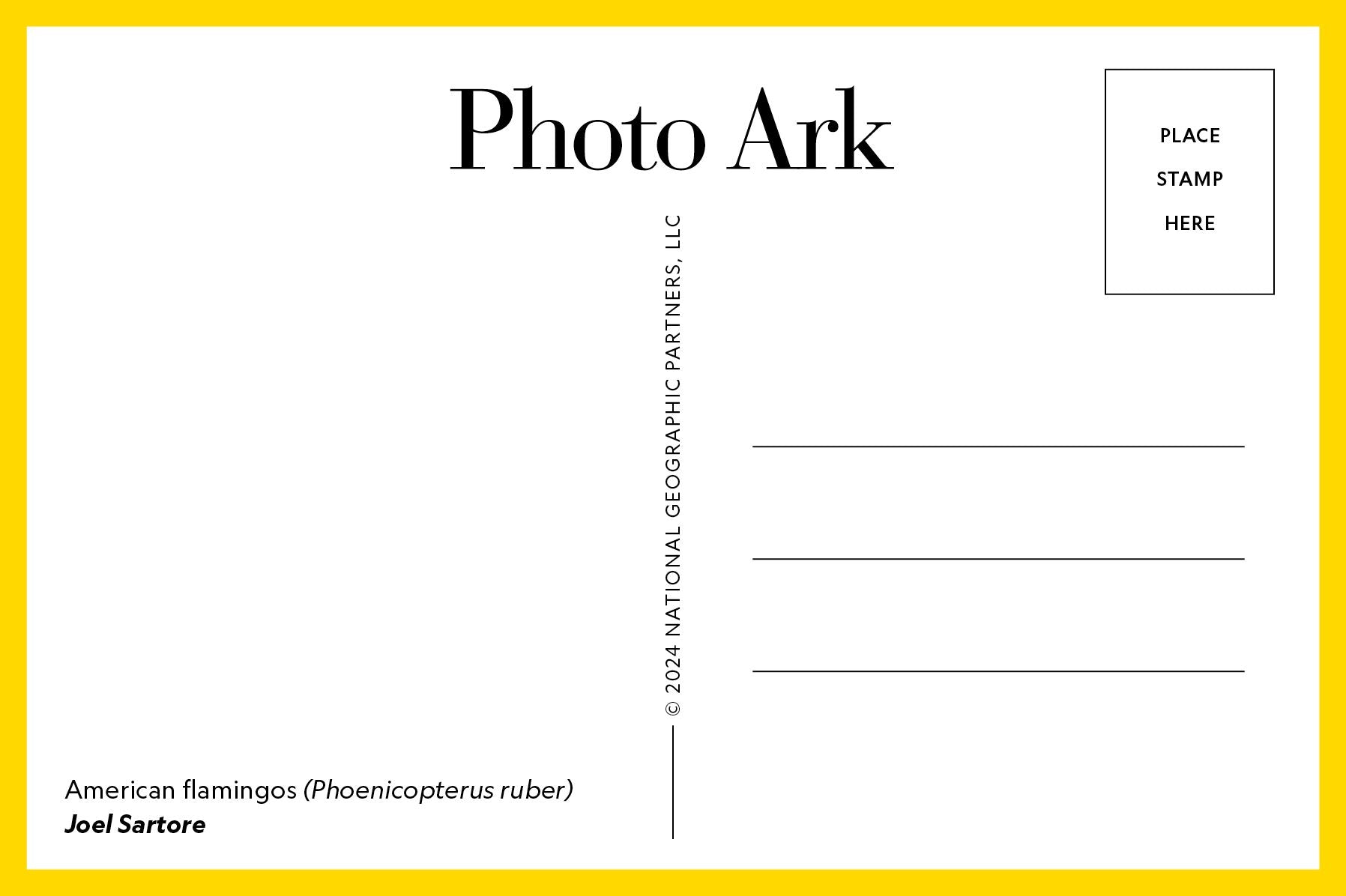 Photo Ark: 50 Postcards