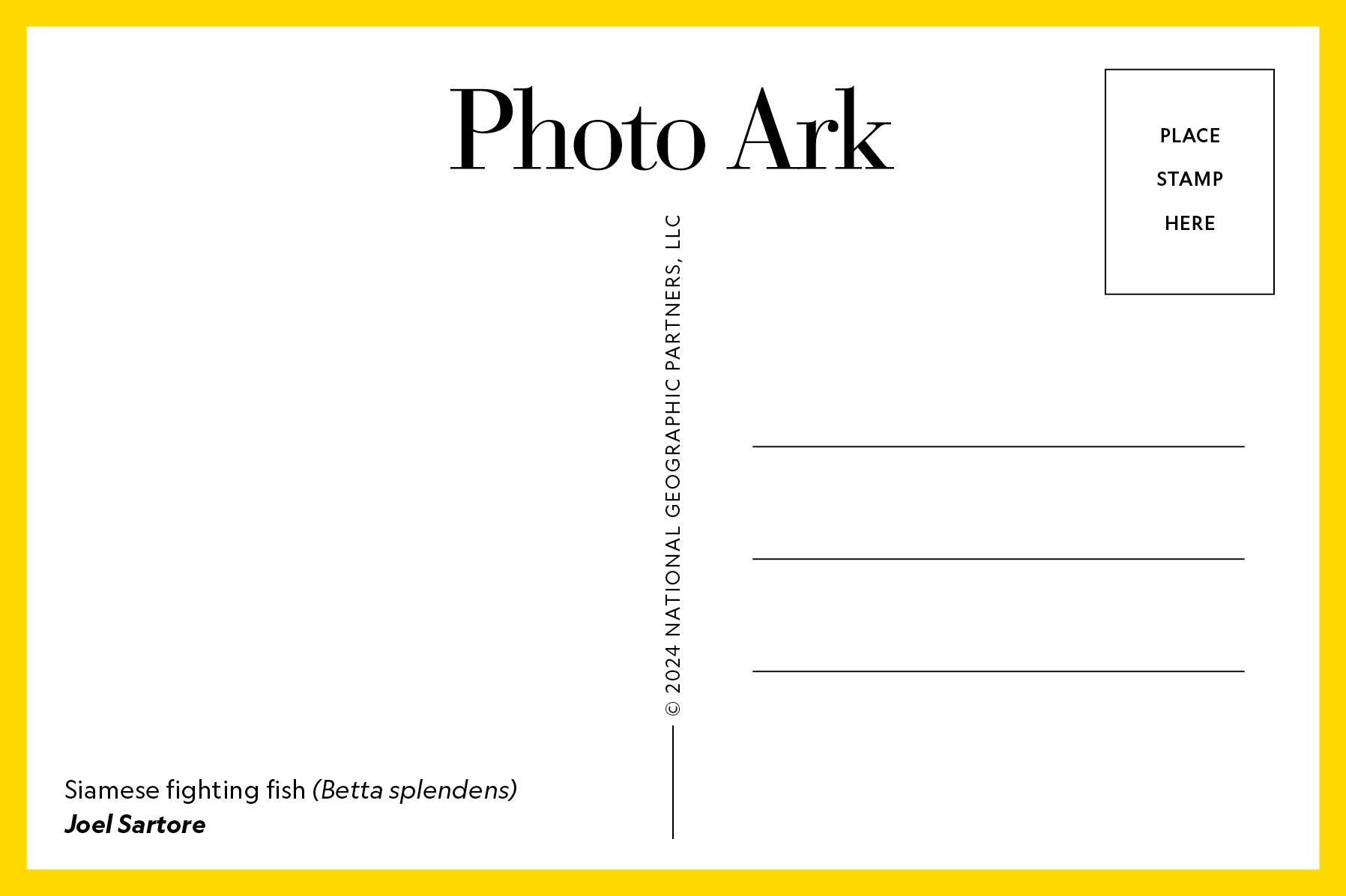 Photo Ark: 50 Postcards