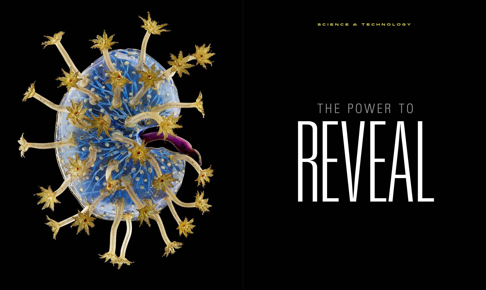 National Geographic The Photographs: Iconic Images from National Geographic