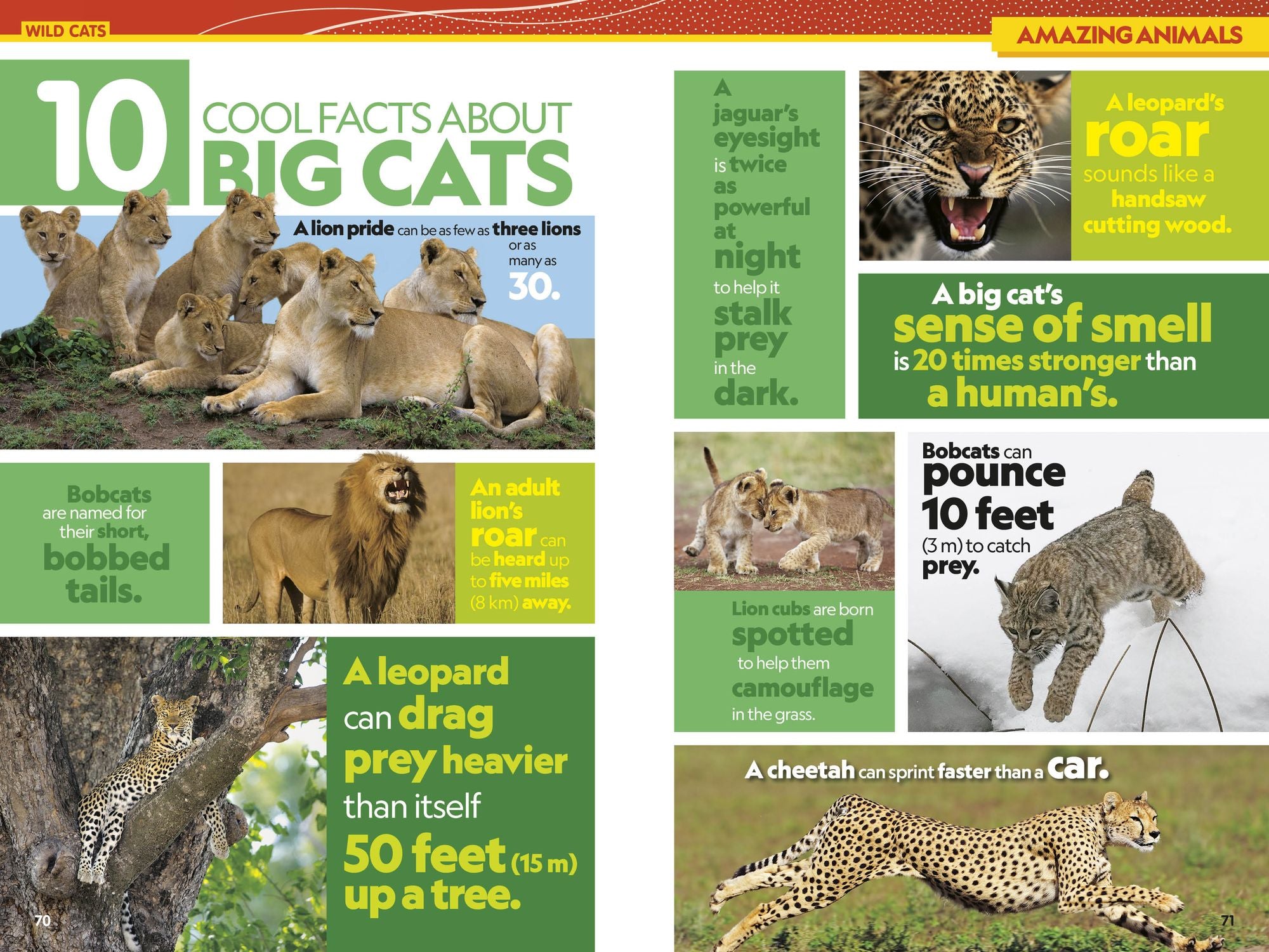 National Geographic Kids Almanac 2027