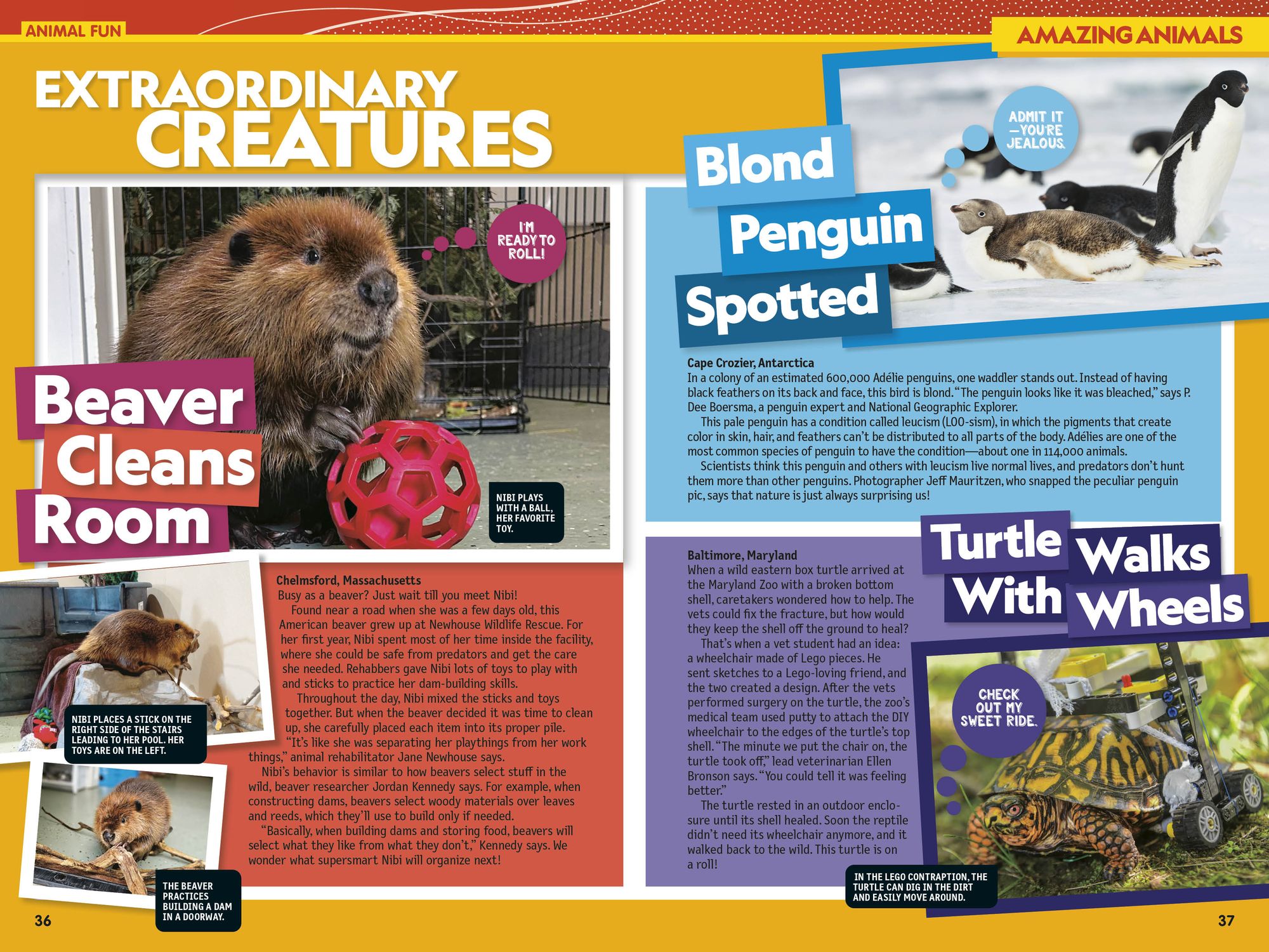 National Geographic Kids Almanac 2027