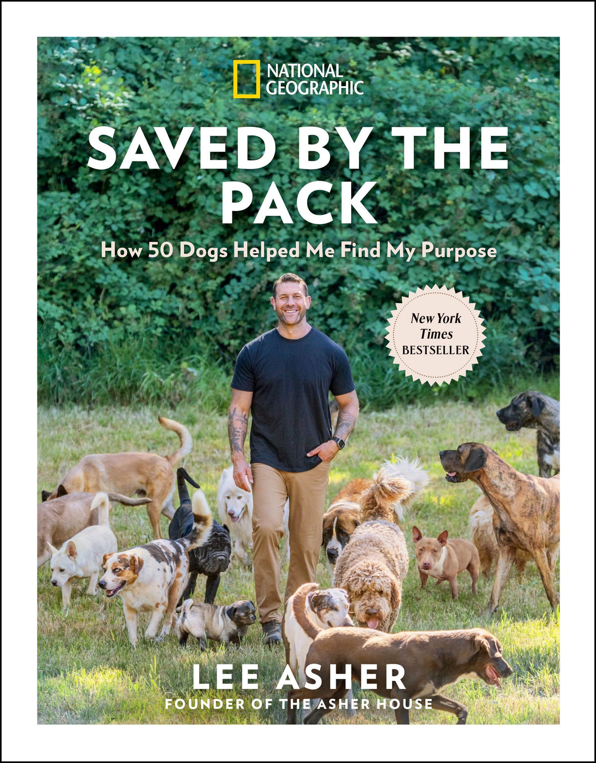 Saved by the Pack: How 50 Dogs Helped Me Find My Purpose