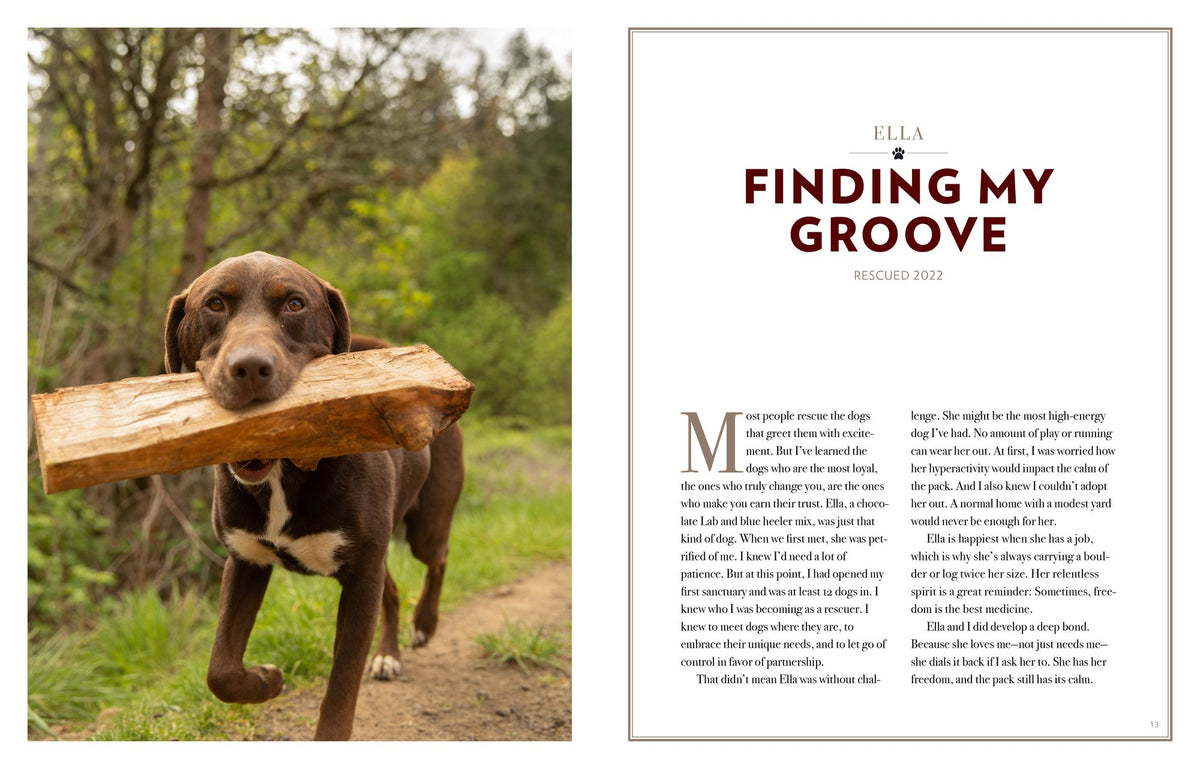 Saved by the Pack: How 50 Dogs Helped Me Find My Purpose