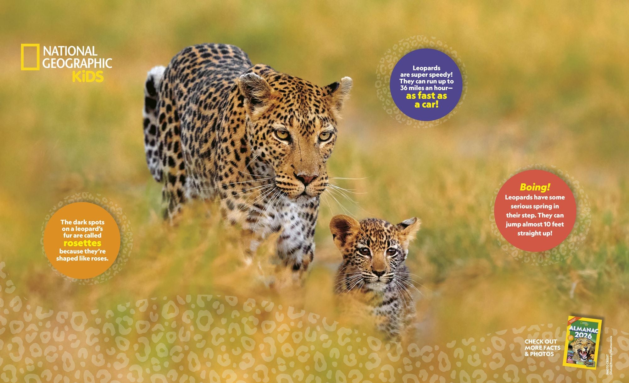 National Geographic Kids Almanac 2026 (B&N Exclusive Edition)