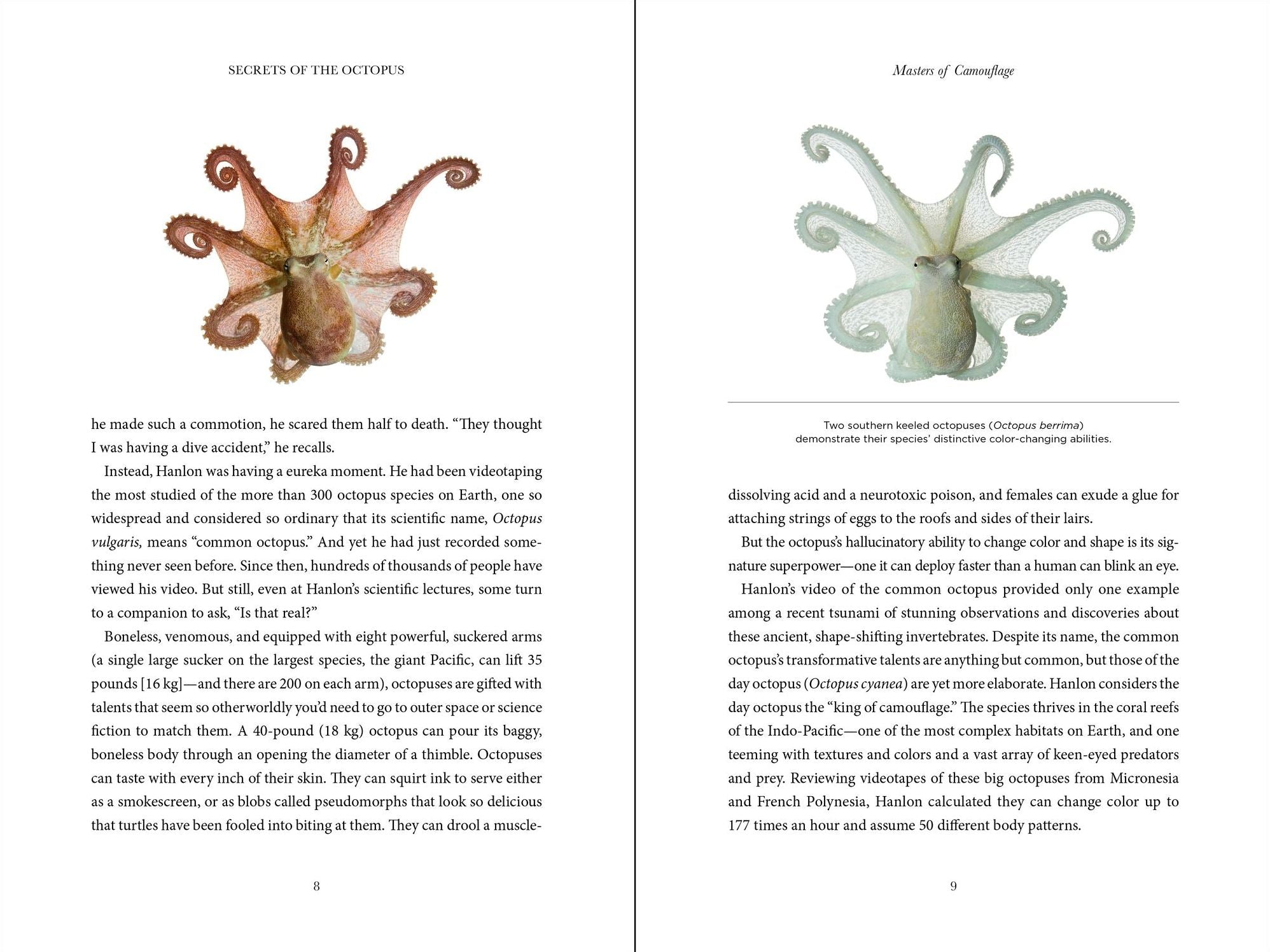 Secrets of the Octopus (B&N Exclusive Edition)