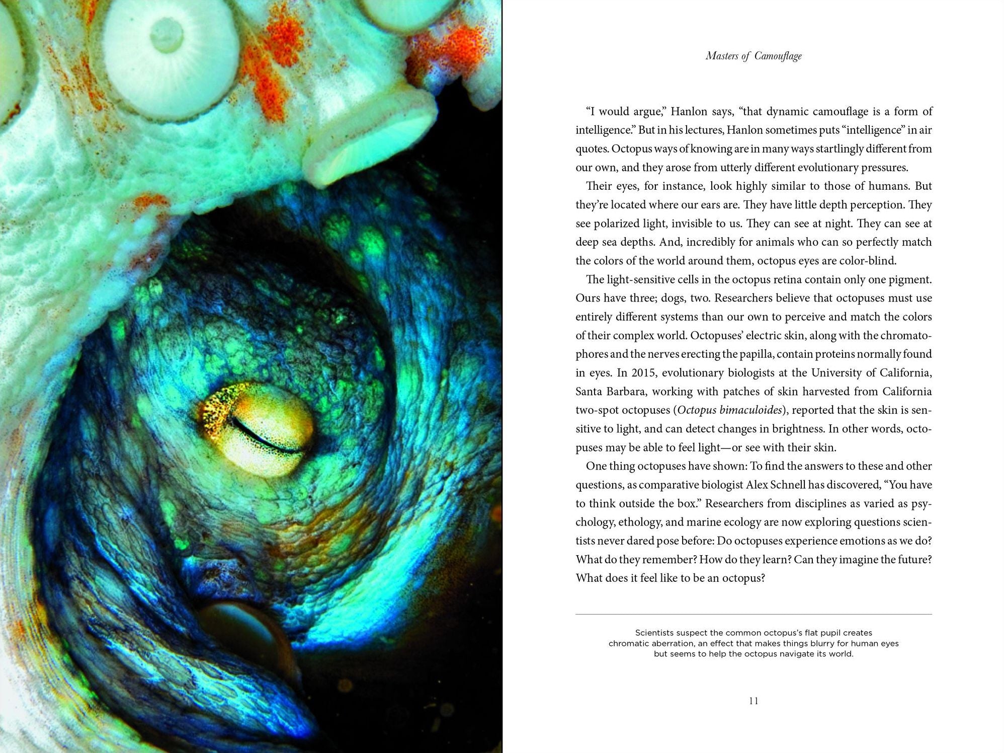 Secrets of the Octopus (B&N Exclusive Edition)