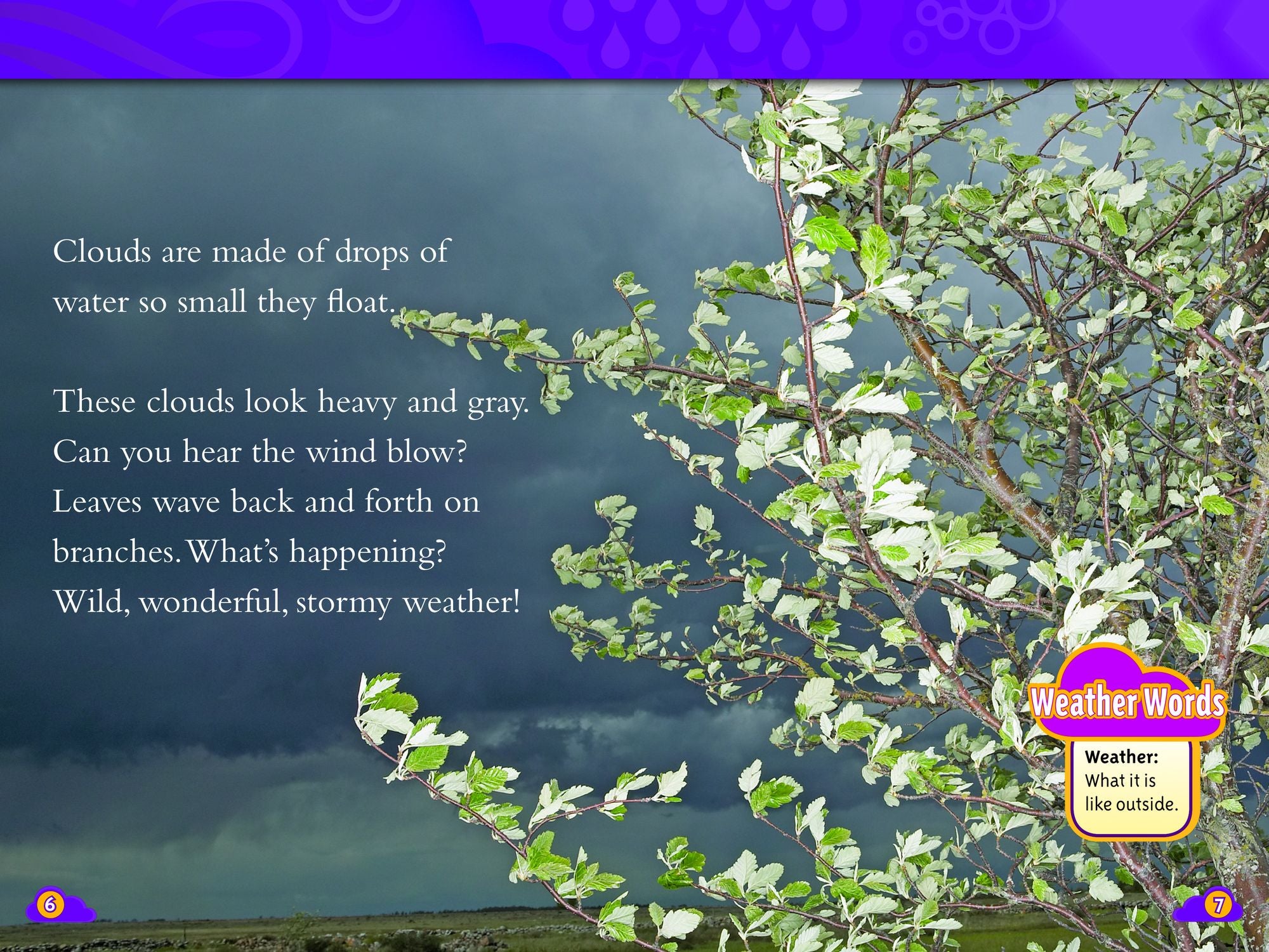 Planet Earth Collection: Readers That Grow With You (National Geographic Readers Series)