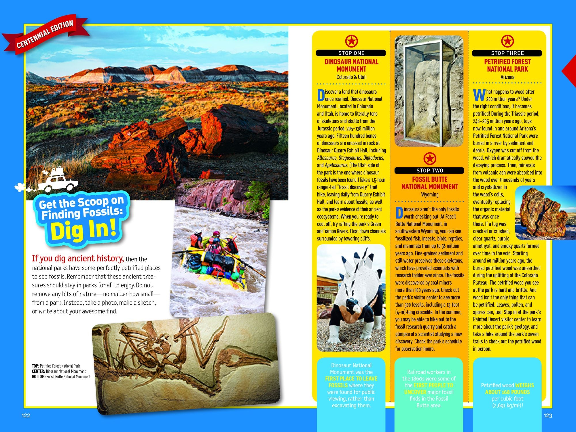 National Geographic Kids National Parks Guide USA Centennial Edition: The Most Amazing Sights, Scenes, and Cool Activities from Coast to Coast!