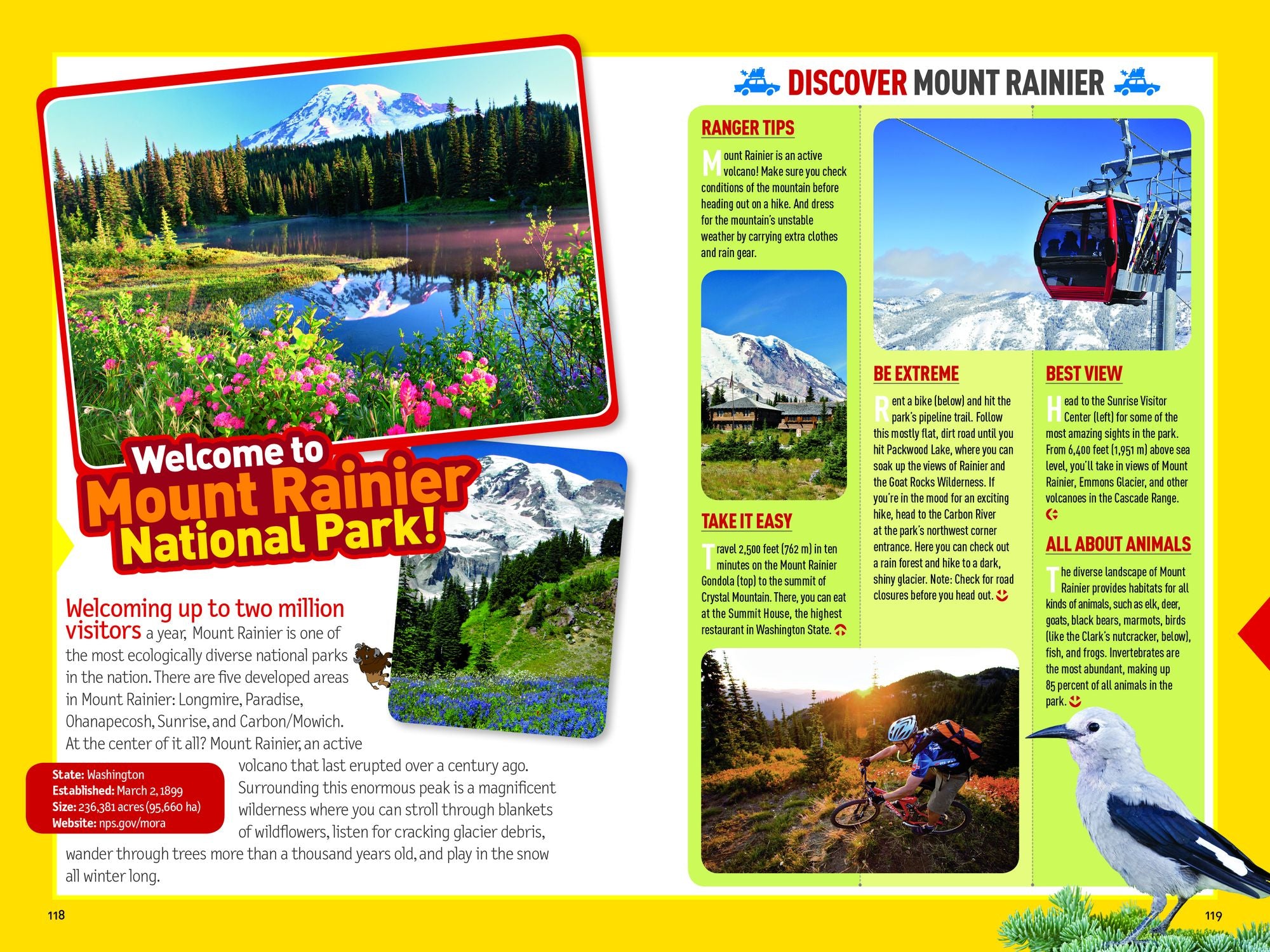 National Geographic Kids National Parks Guide USA Centennial Edition: The Most Amazing Sights, Scenes, and Cool Activities from Coast to Coast!