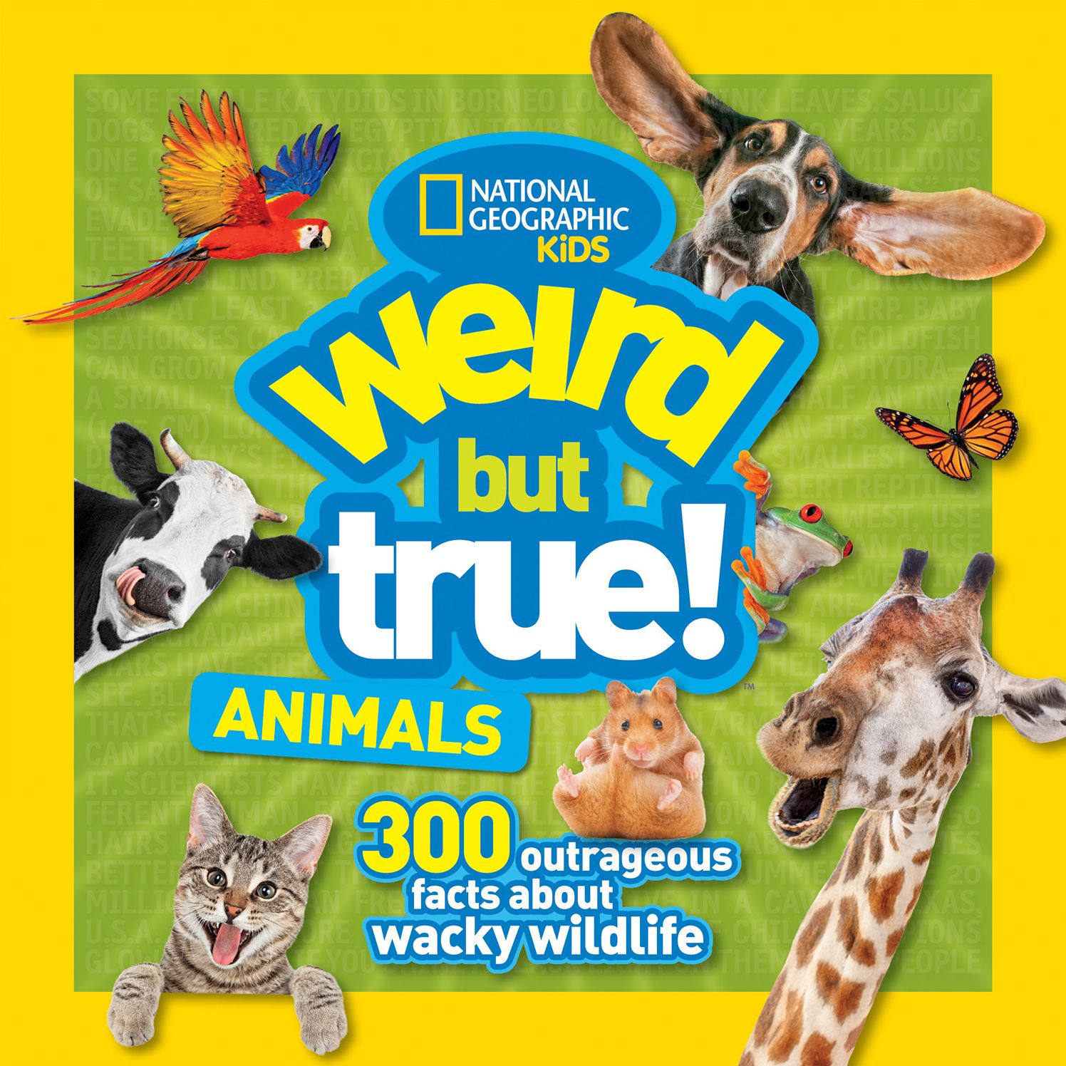 Weird But True! Animals: 300 Outrageous Facts About Wacky Wildlife